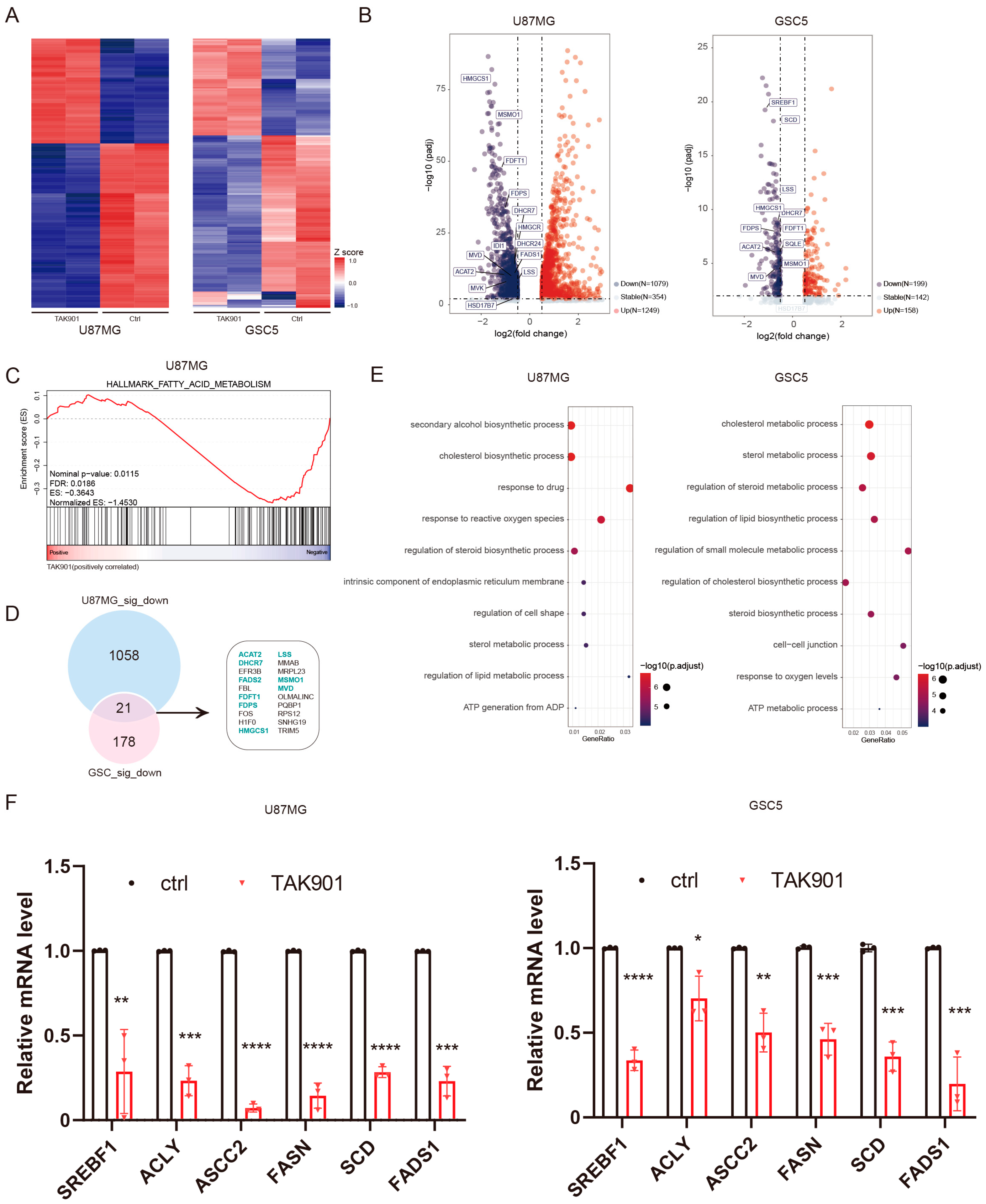 Cancers 14 05805 g004