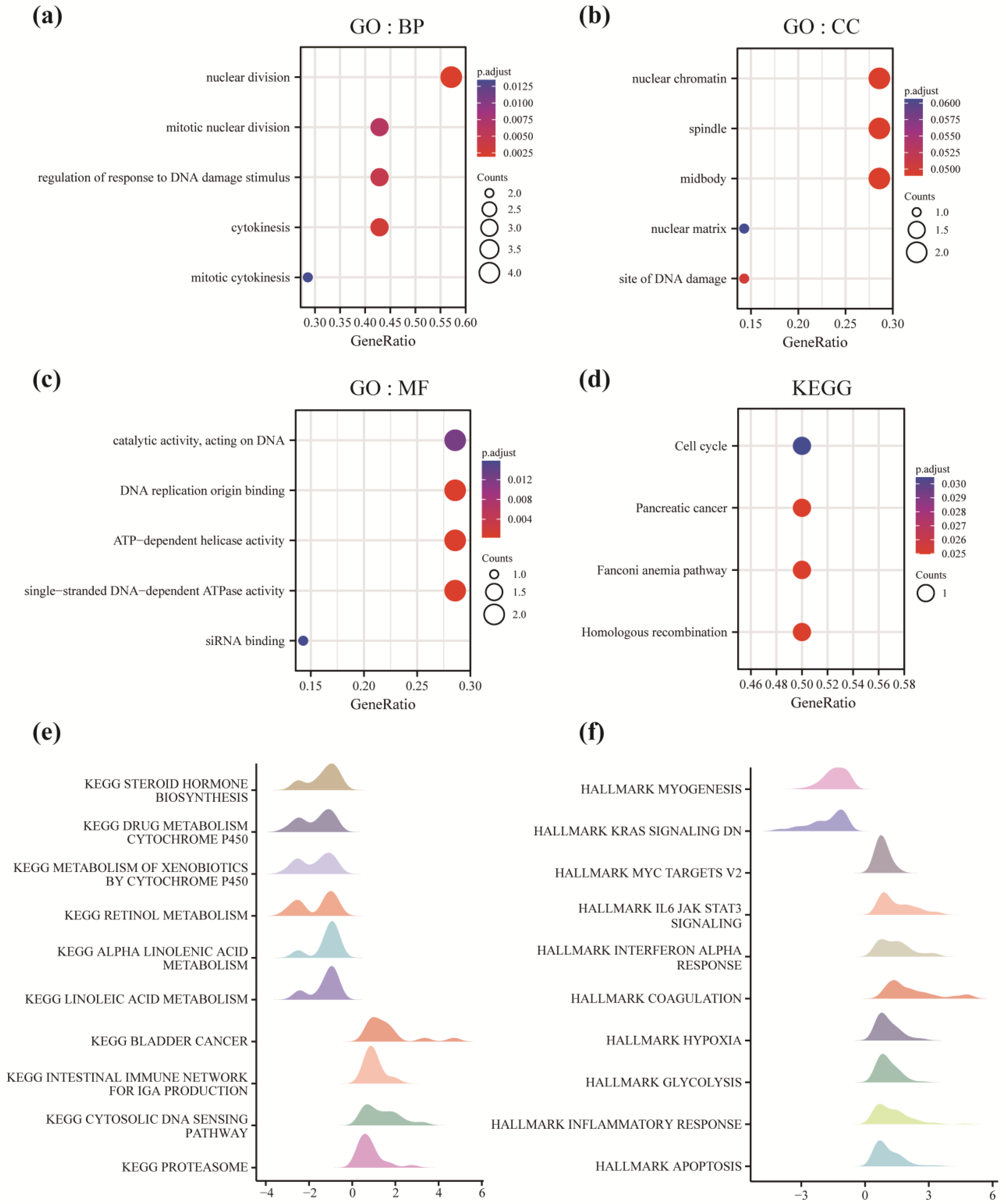 Cancers 14 05808 g004 Cancers 14 05808 g004