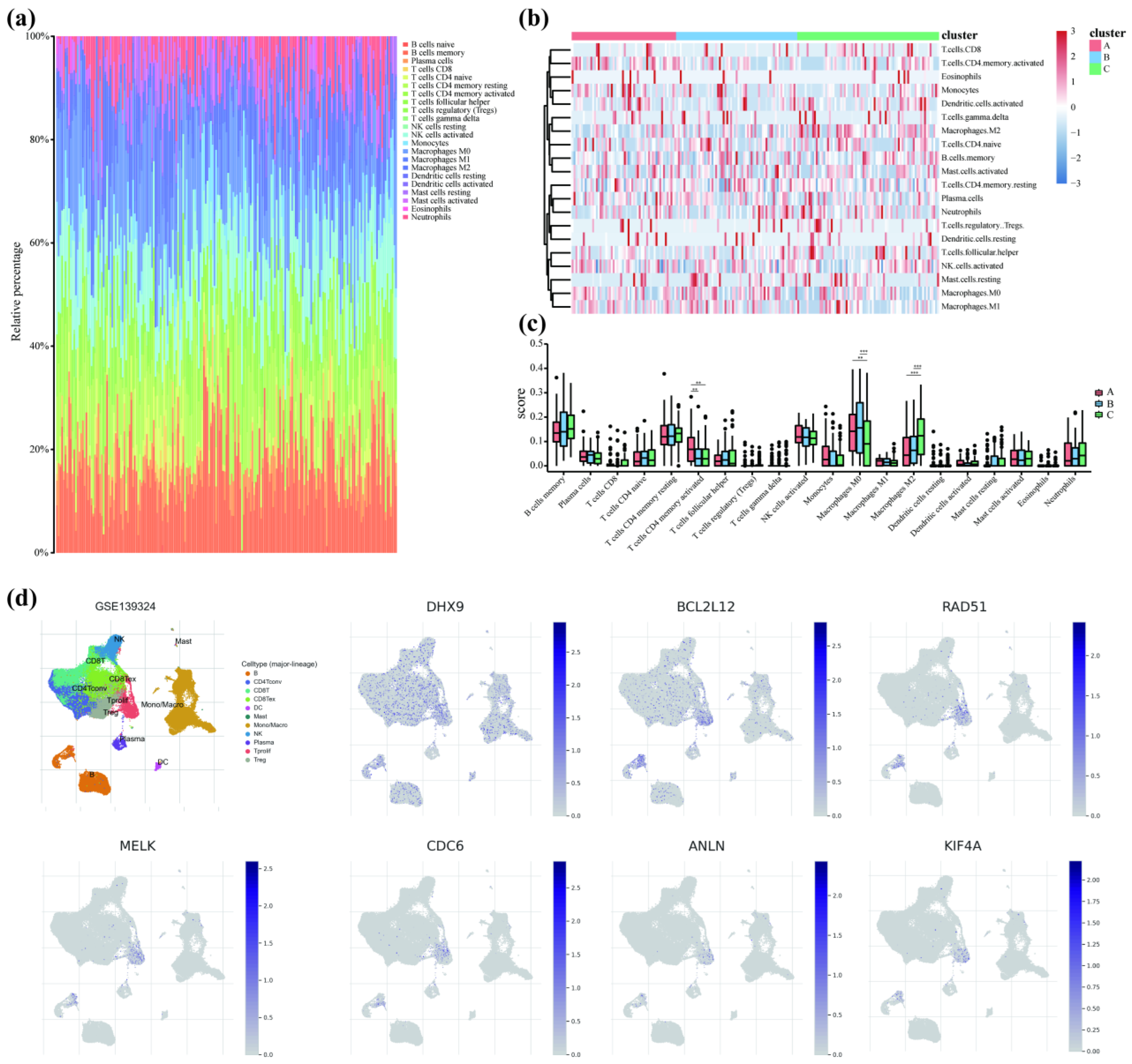 Cancers 14 05808 g006 Cancers 14 05808 g006
