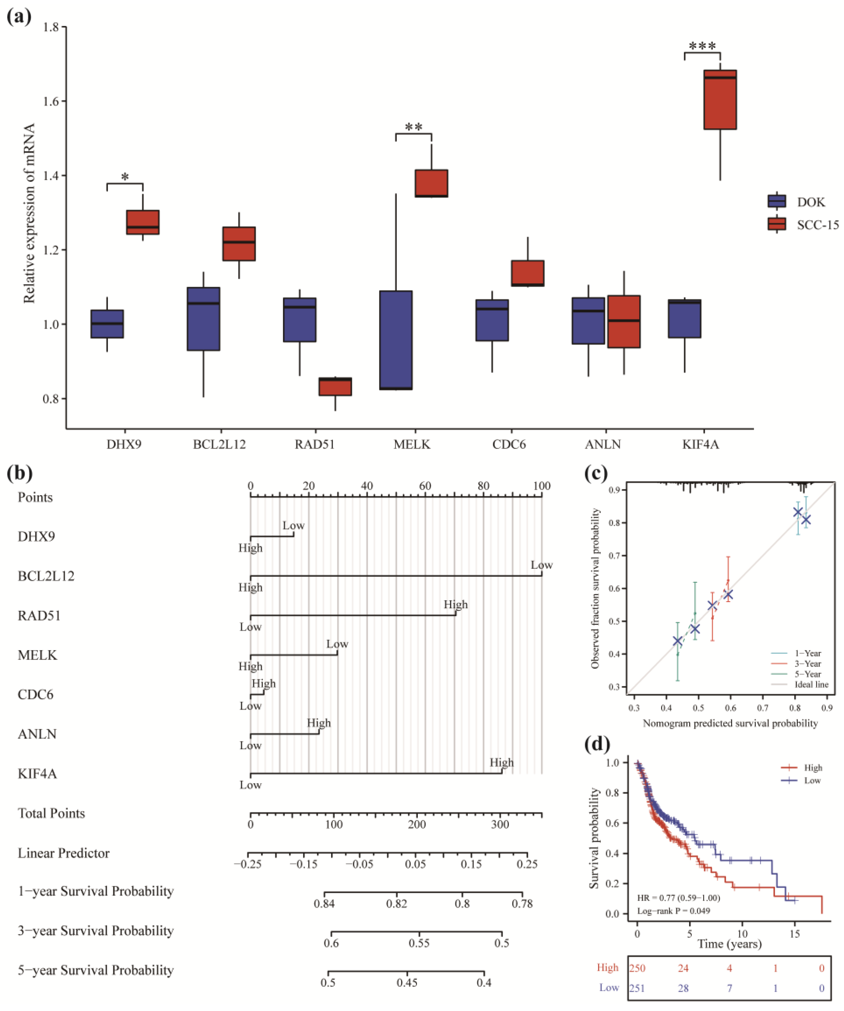 Cancers 14 05808 g007 Cancers 14 05808 g007