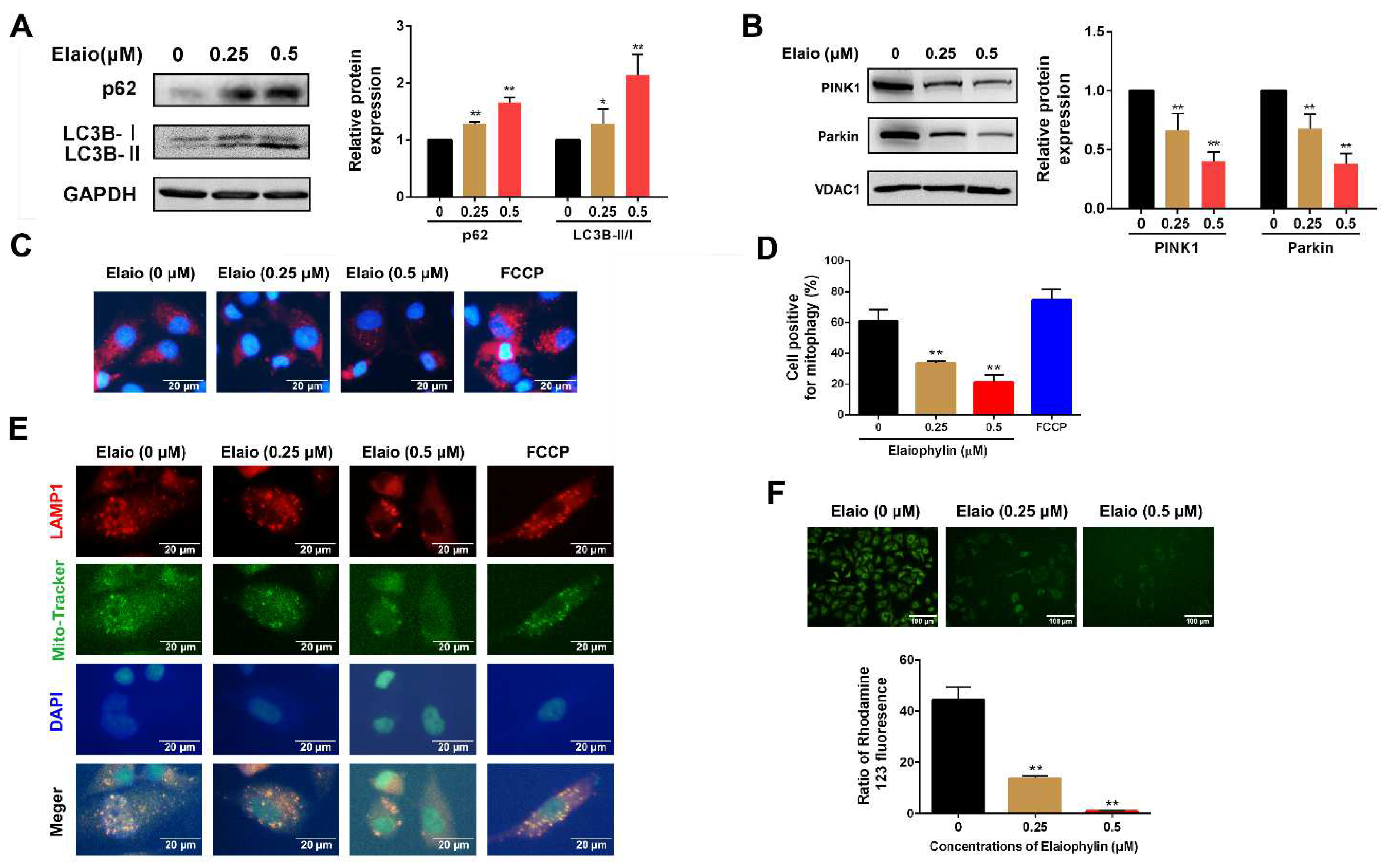 Cancers 14 05812 g003 Cancers 14 05812 g003
