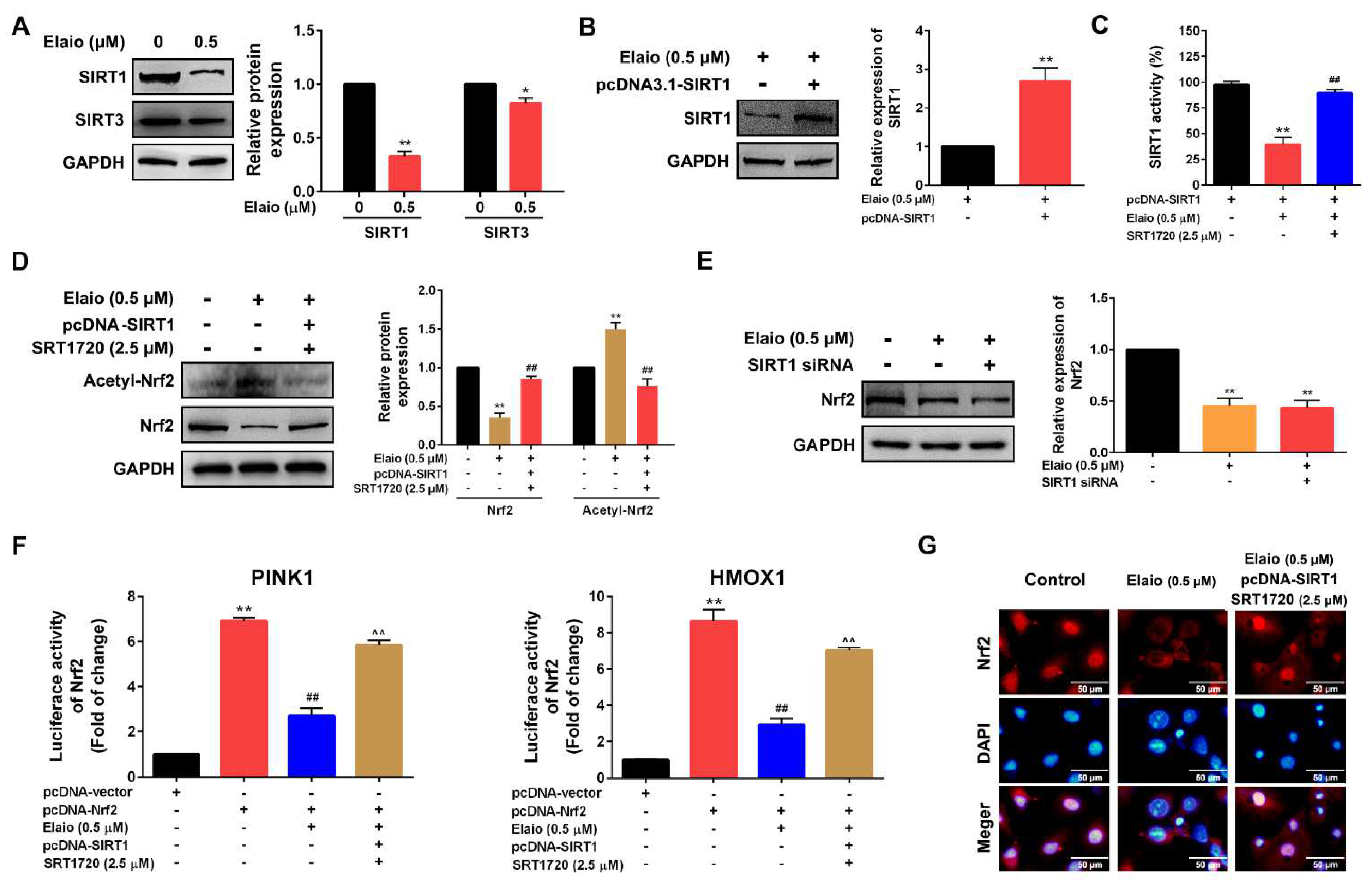 Cancers 14 05812 g005 Cancers 14 05812 g005