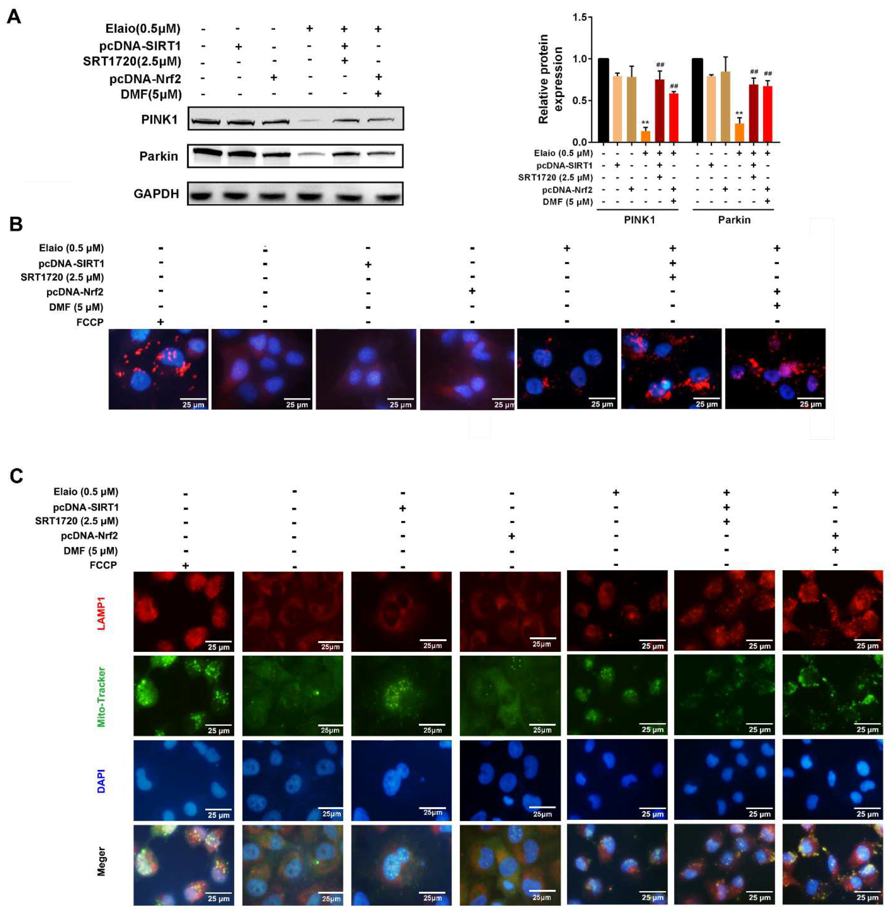 Cancers 14 05812 g006 Cancers 14 05812 g006