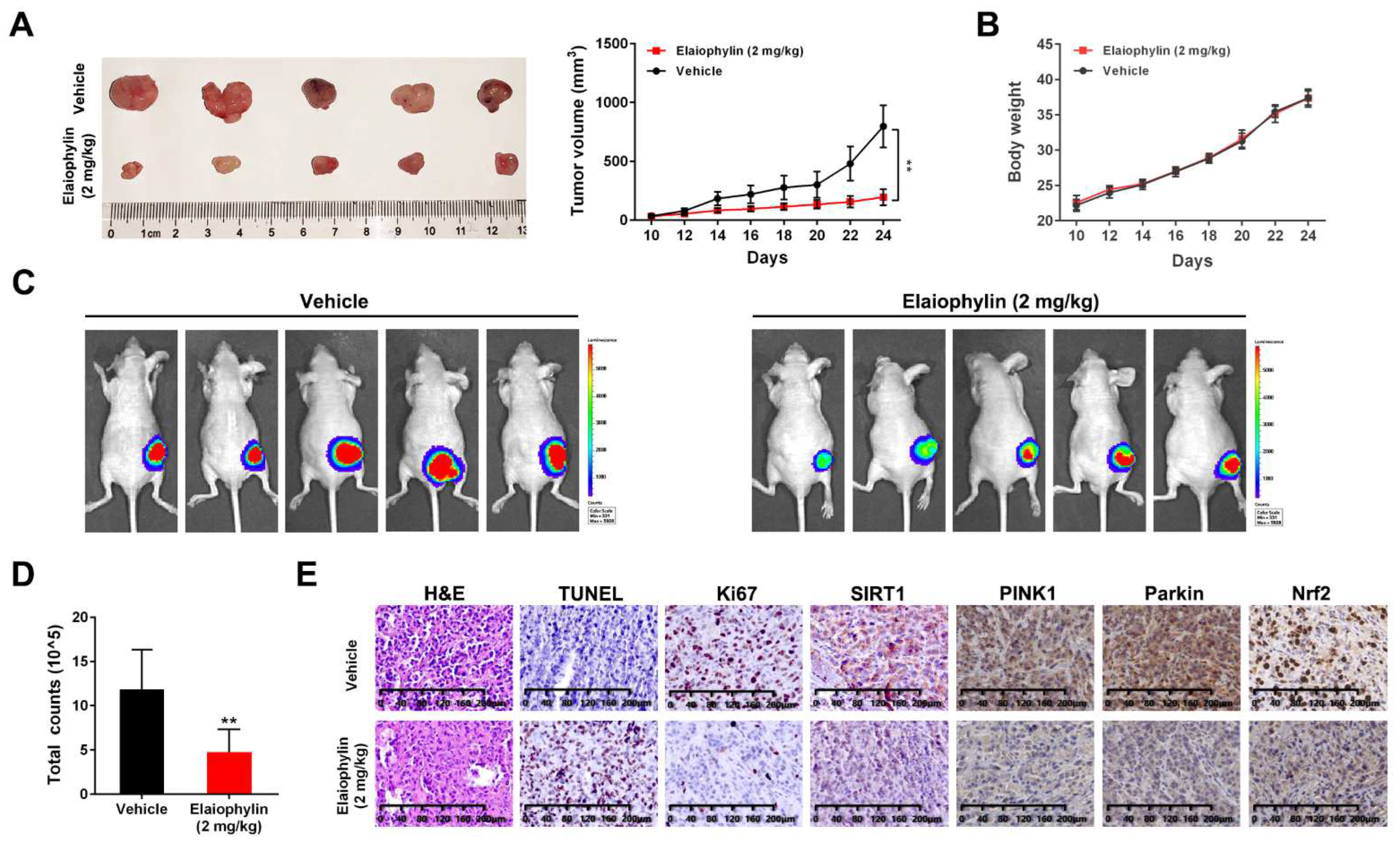 Cancers 14 05812 g008 Cancers 14 05812 g008