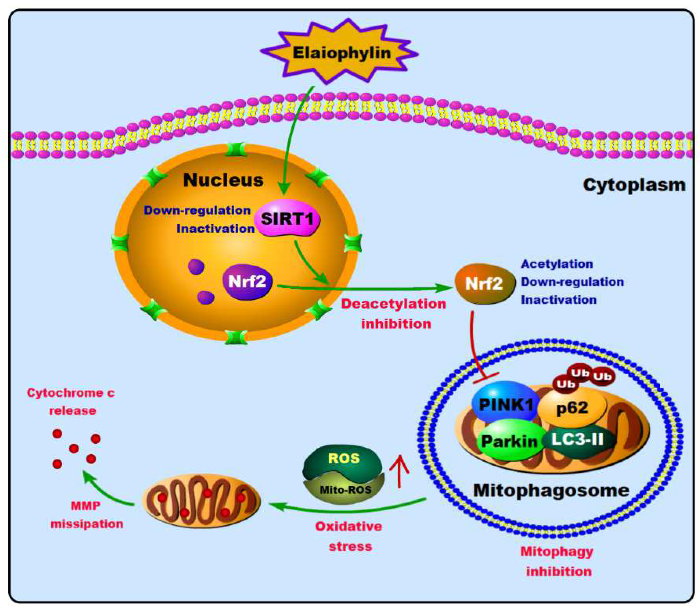 Cancers 14 05812 g009 Cancers 14 05812 g009