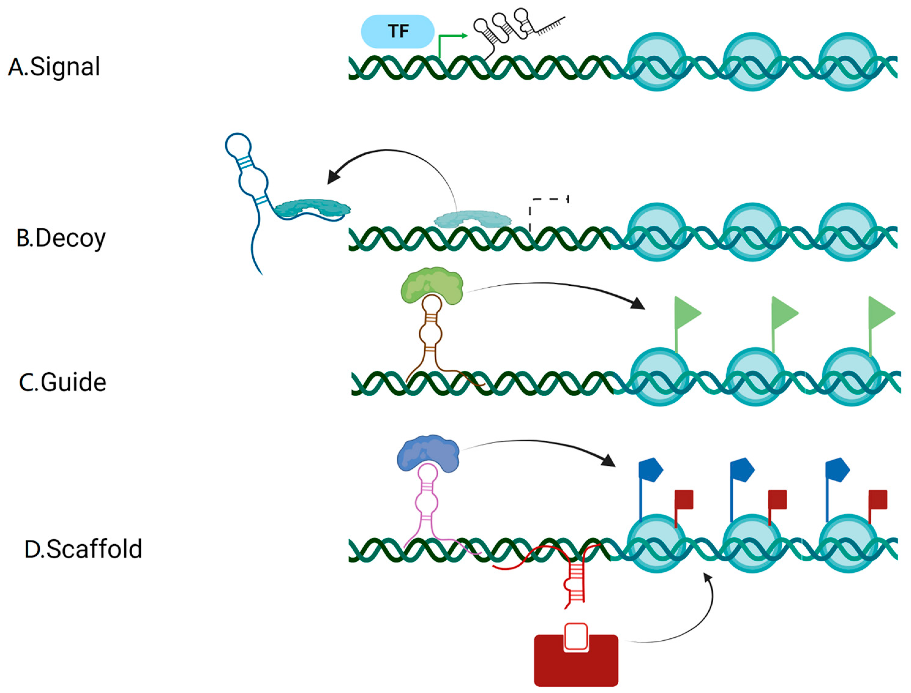Cancers 14 05813 g001