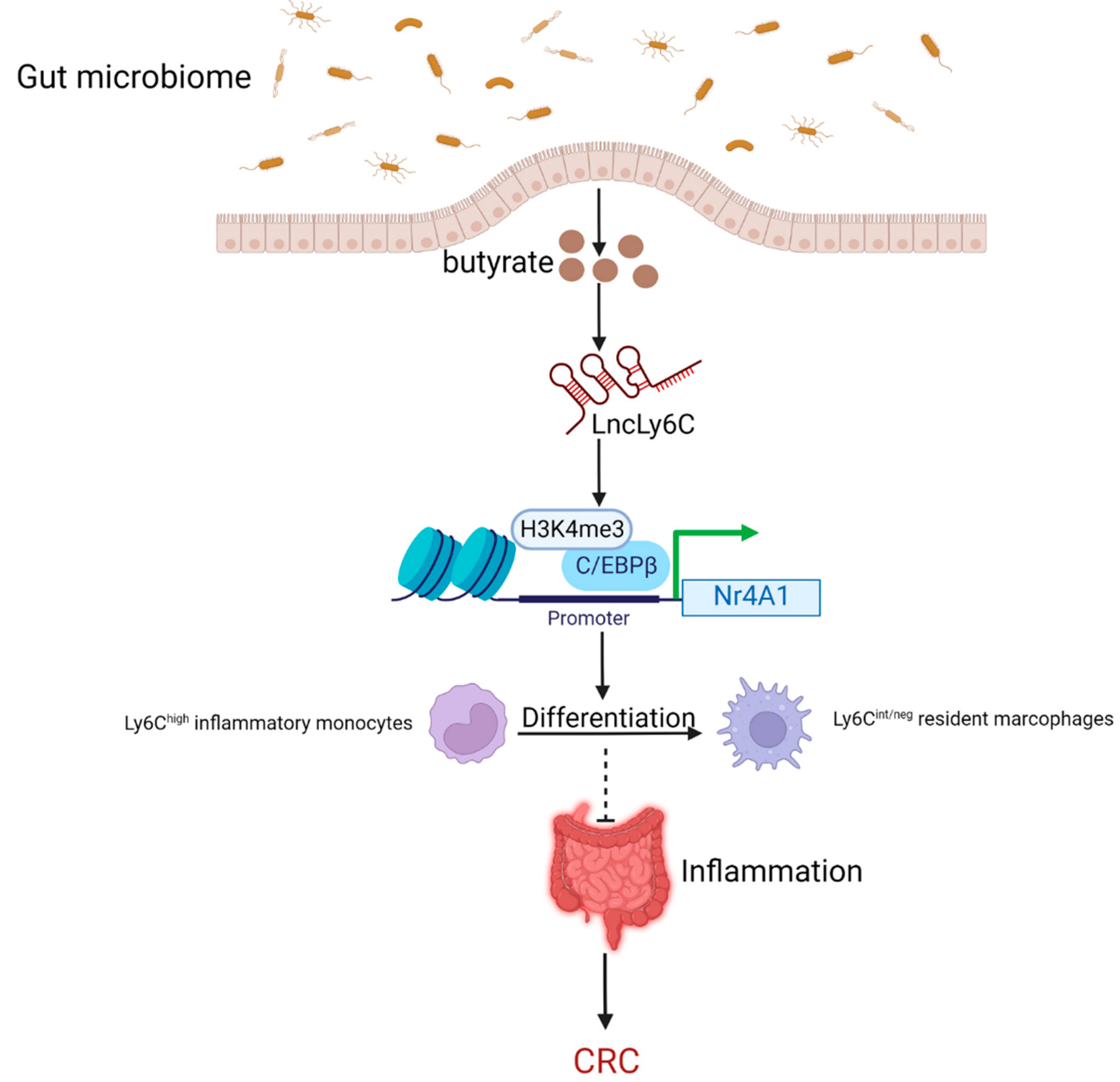 Cancers 14 05813 g004