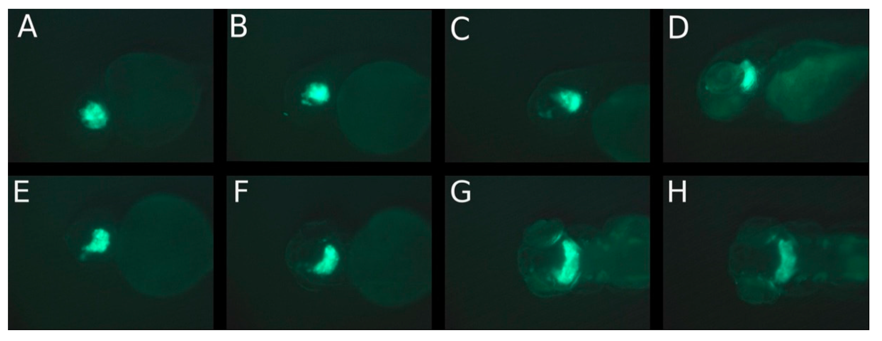 Cancers 14 05814 g003