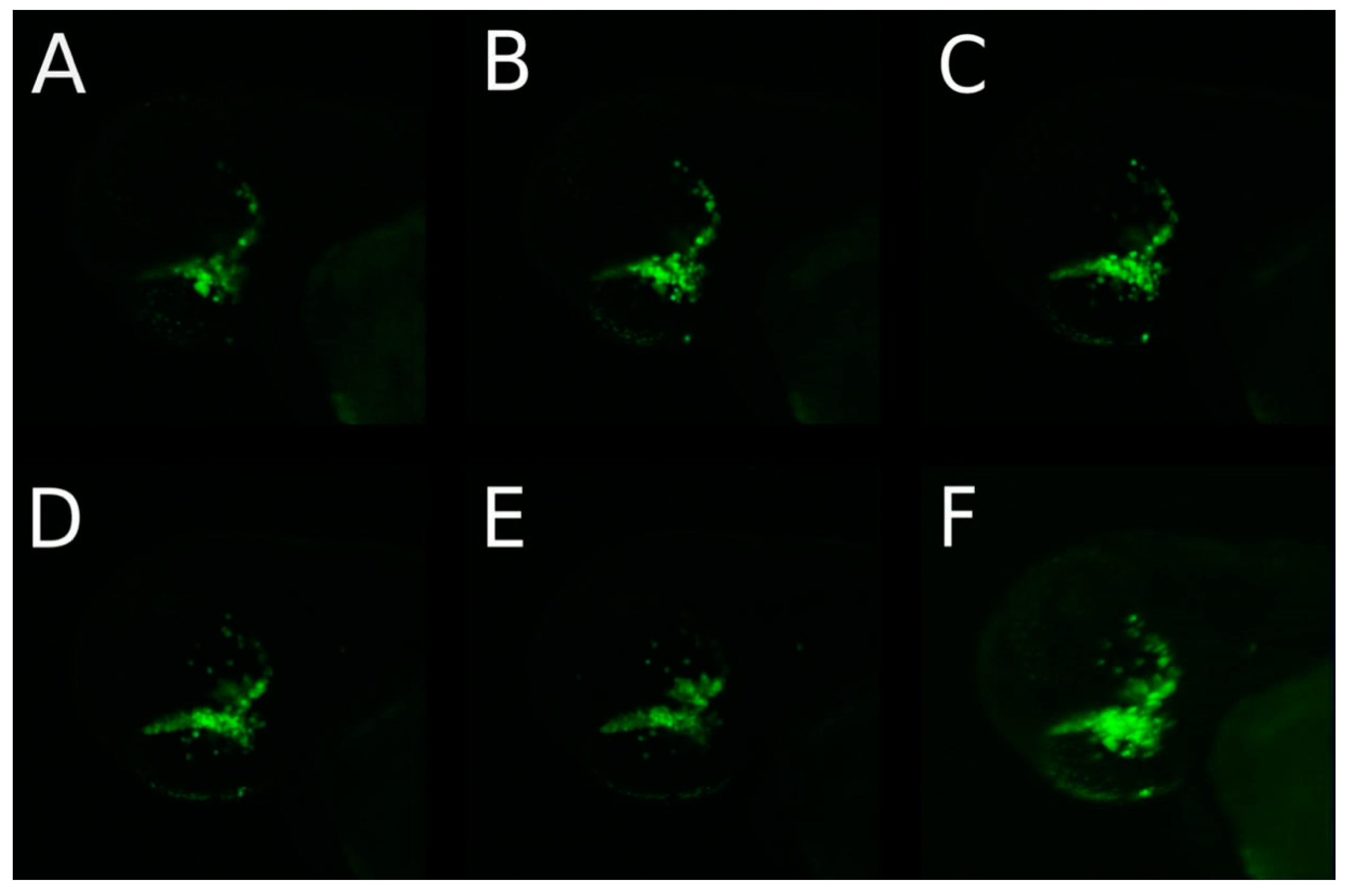 Cancers 14 05814 g004