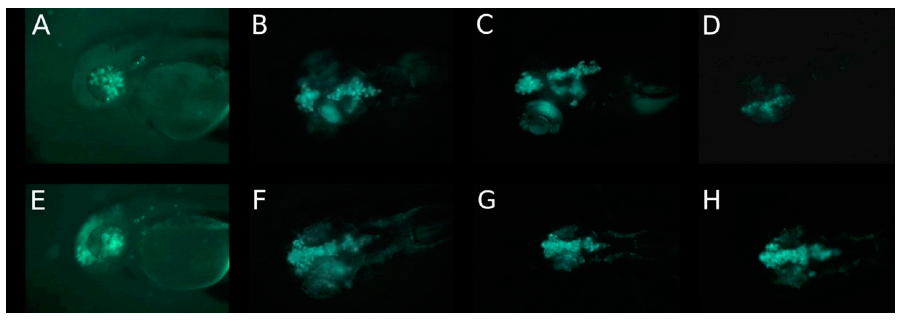 Cancers 14 05814 g005