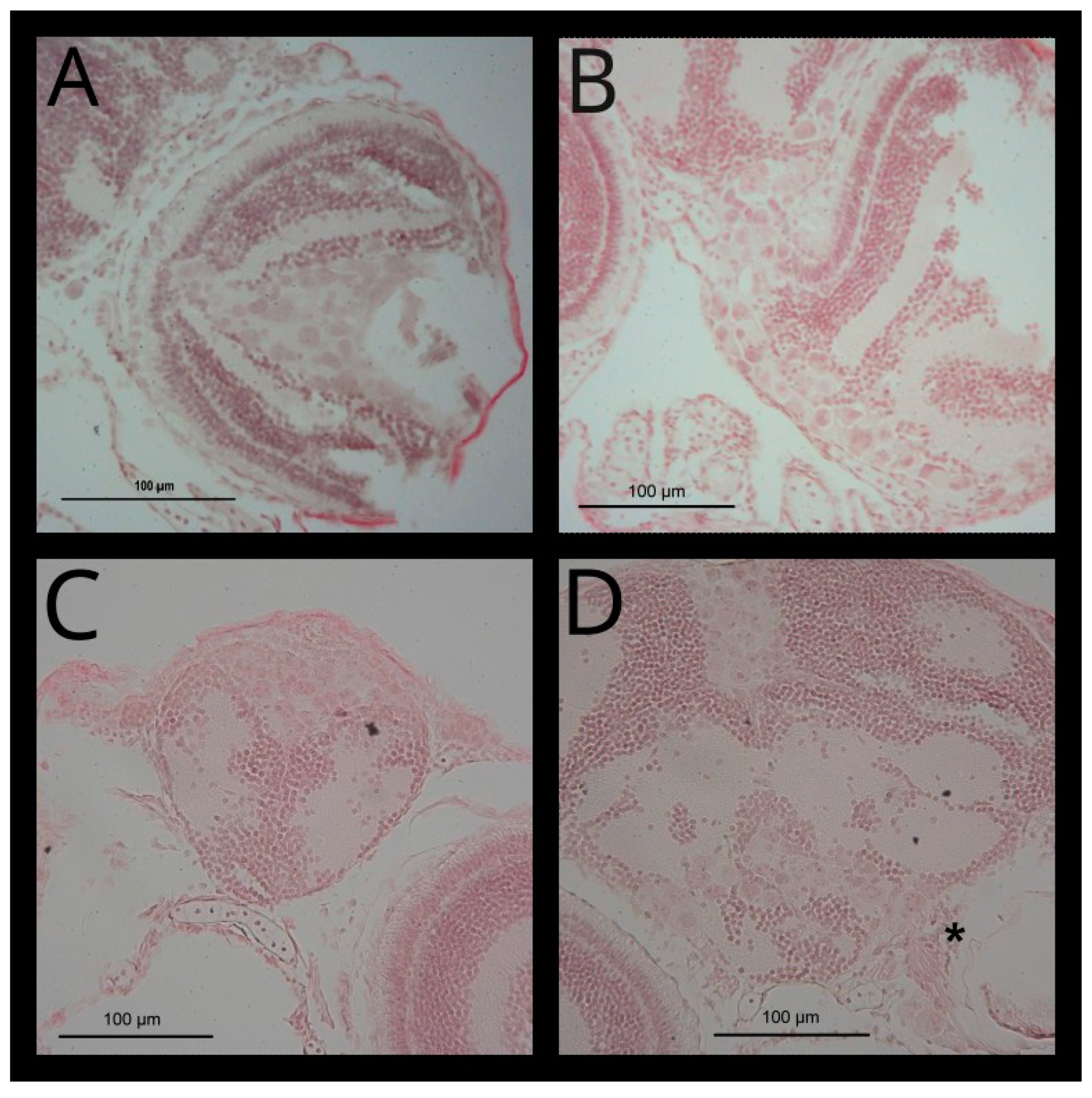 Cancers 14 05814 g009