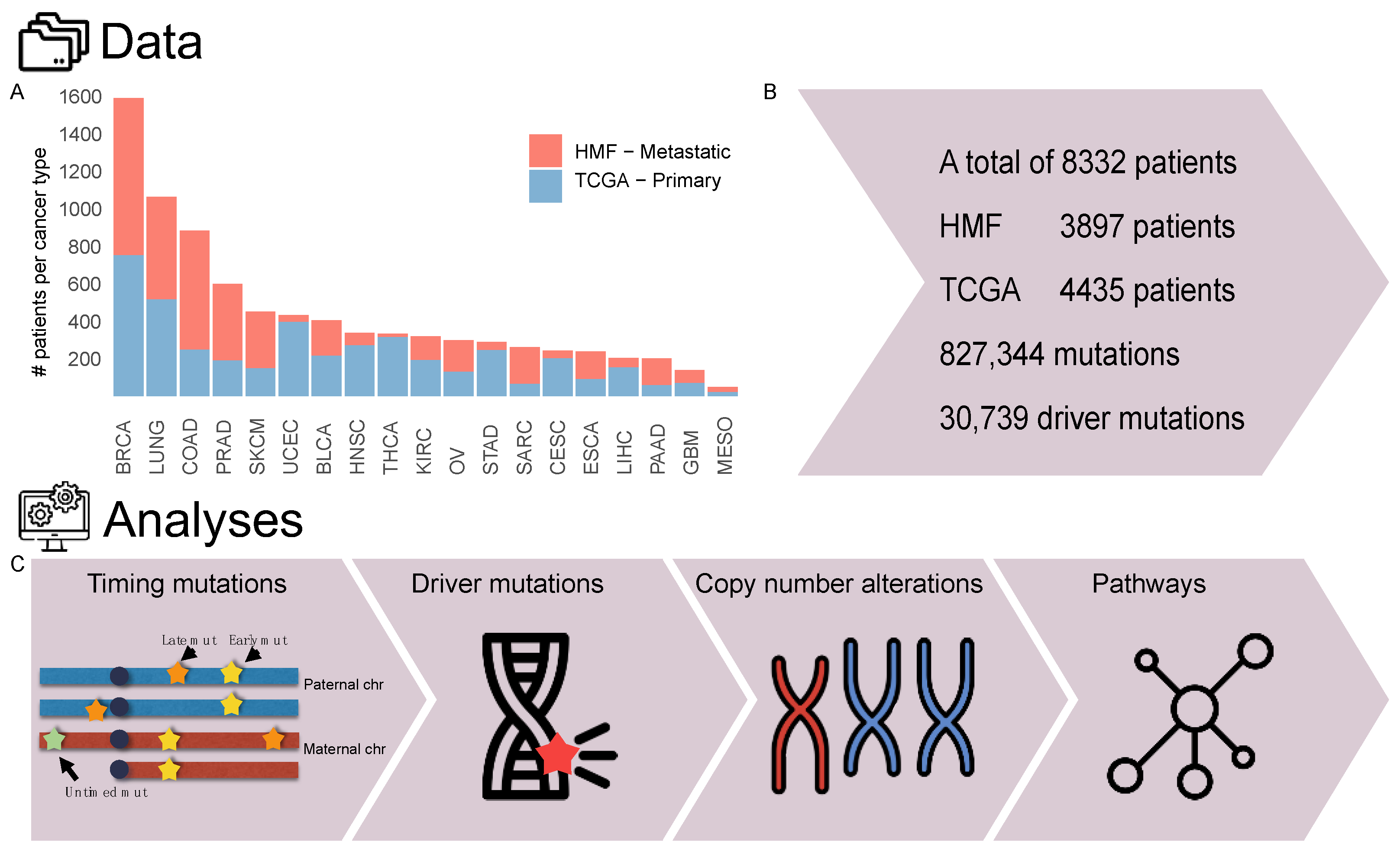 Cancers 14 05817 g001 Cancers 14 05817 g001