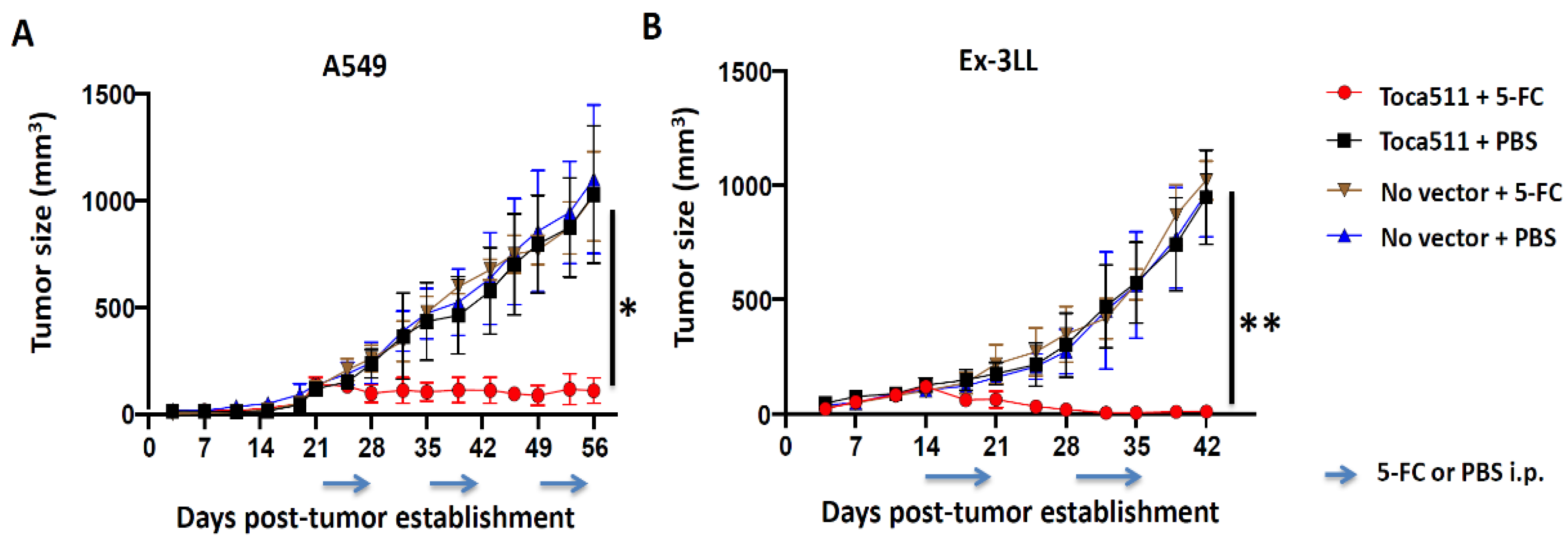 Cancers 14 05820 g004 Cancers 14 05820 g004