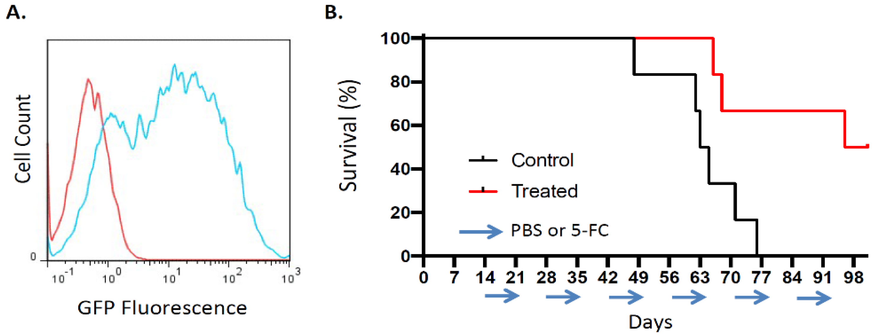 Cancers 14 05820 g006 Cancers 14 05820 g006