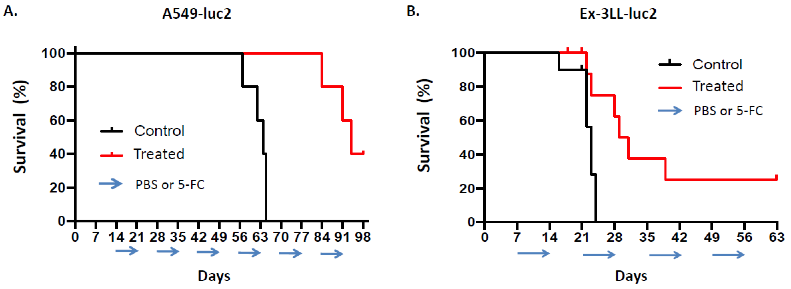 Cancers 14 05820 g009 Cancers 14 05820 g009