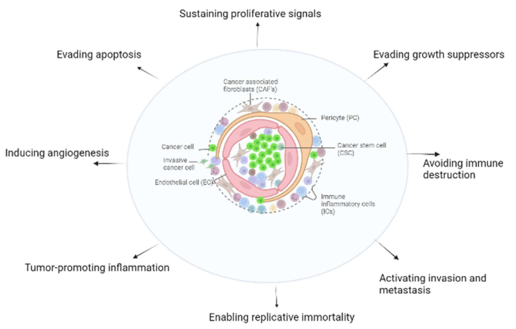 Cancers 14 05822 g002