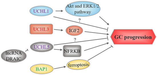 Research Progress for Targeting Deubiquitinases in Gastric