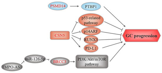 Research Progress for Targeting Deubiquitinases in Gastric