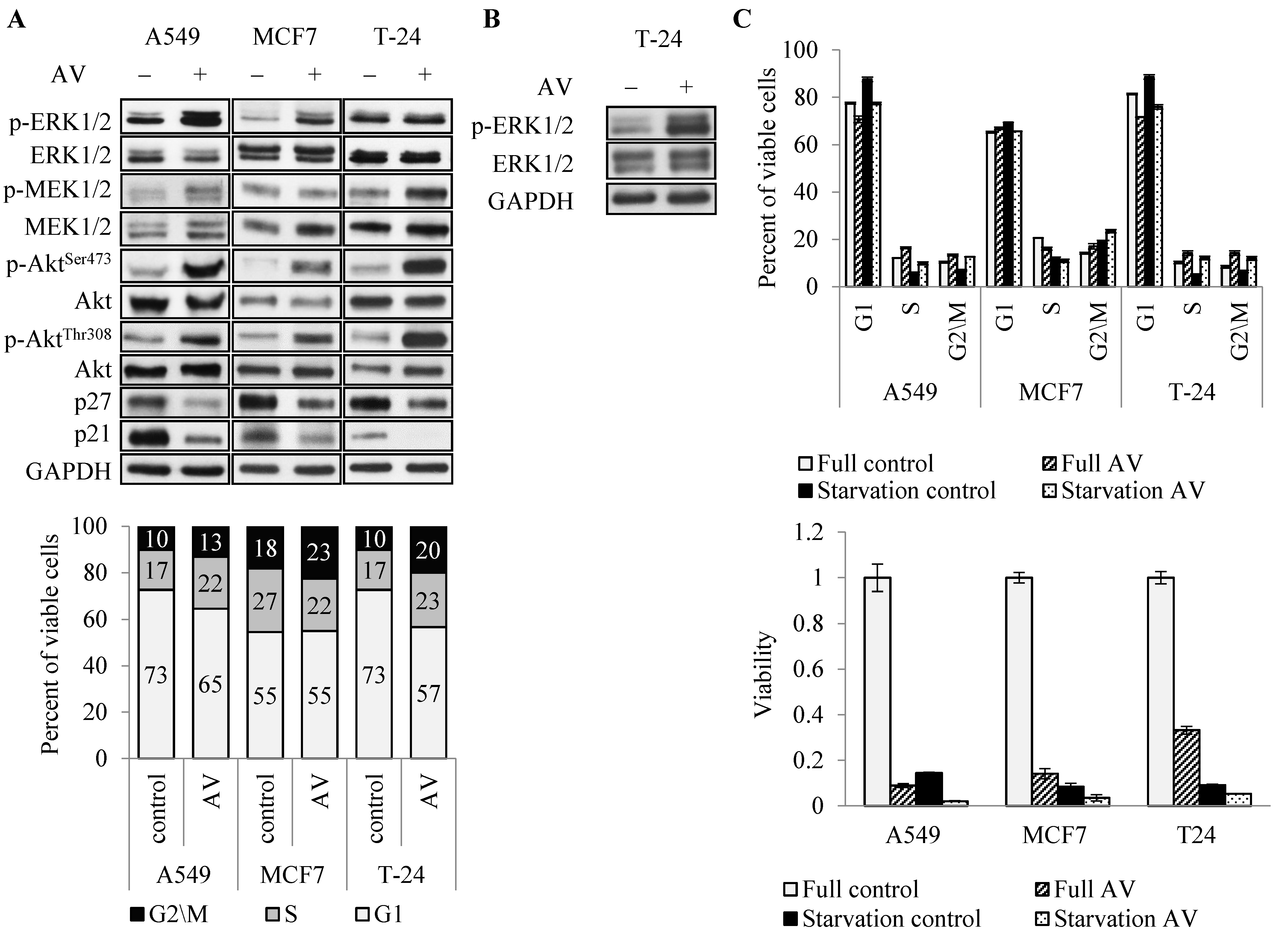Cancers 14 05833 g004