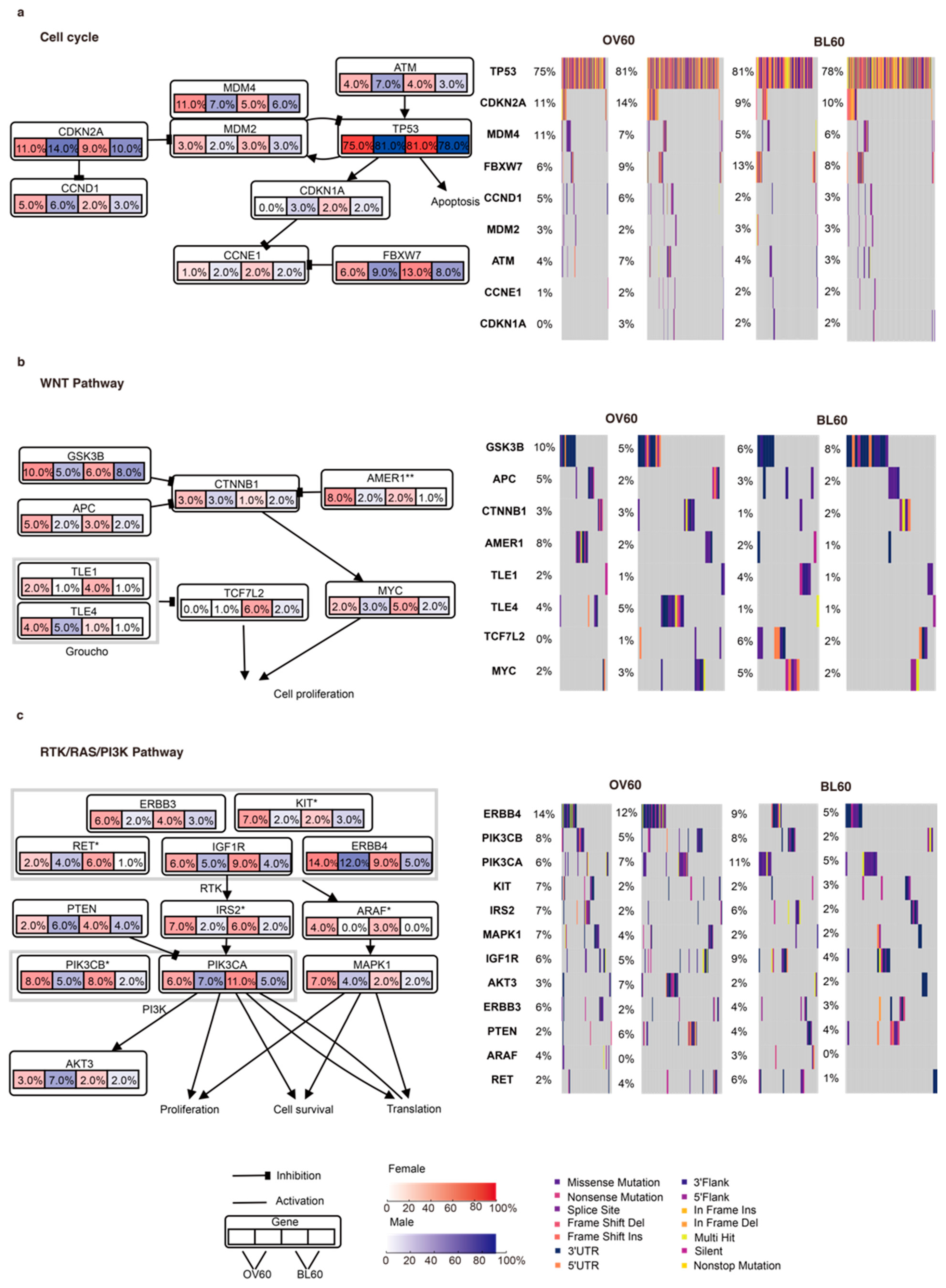 Cancers 14 05854 g001 Cancers 14 05854 g001