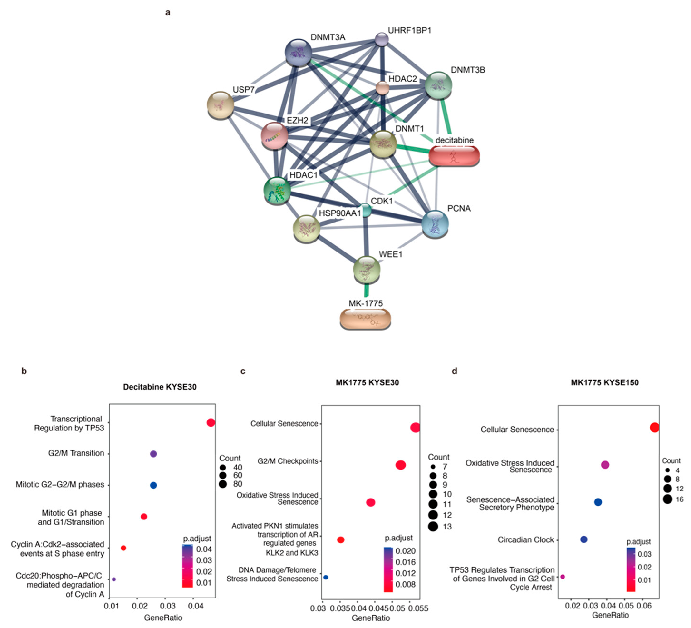 Cancers 14 05854 g005 Cancers 14 05854 g005