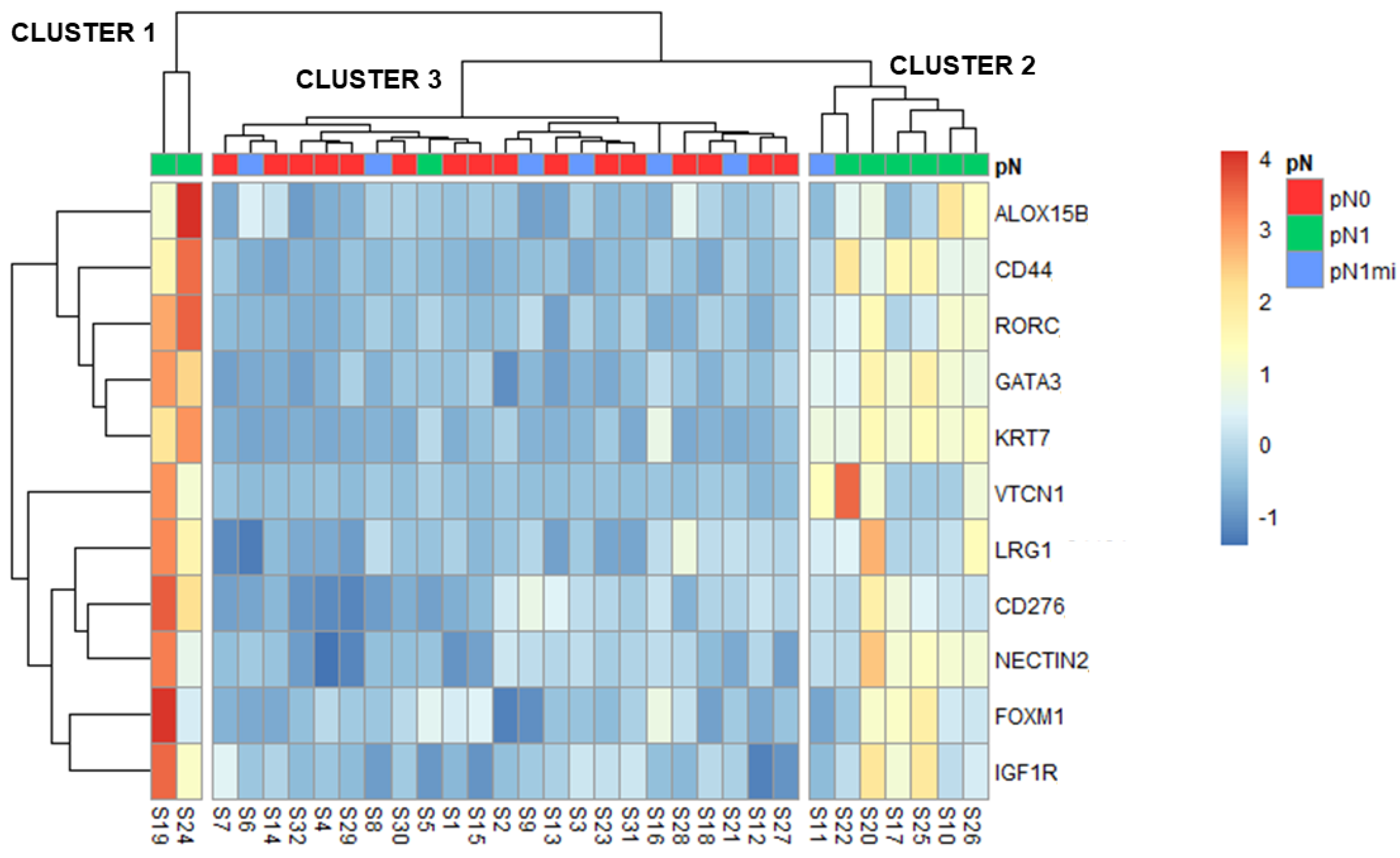 Cancers 14 05855 g005 Cancers 14 05855 g005