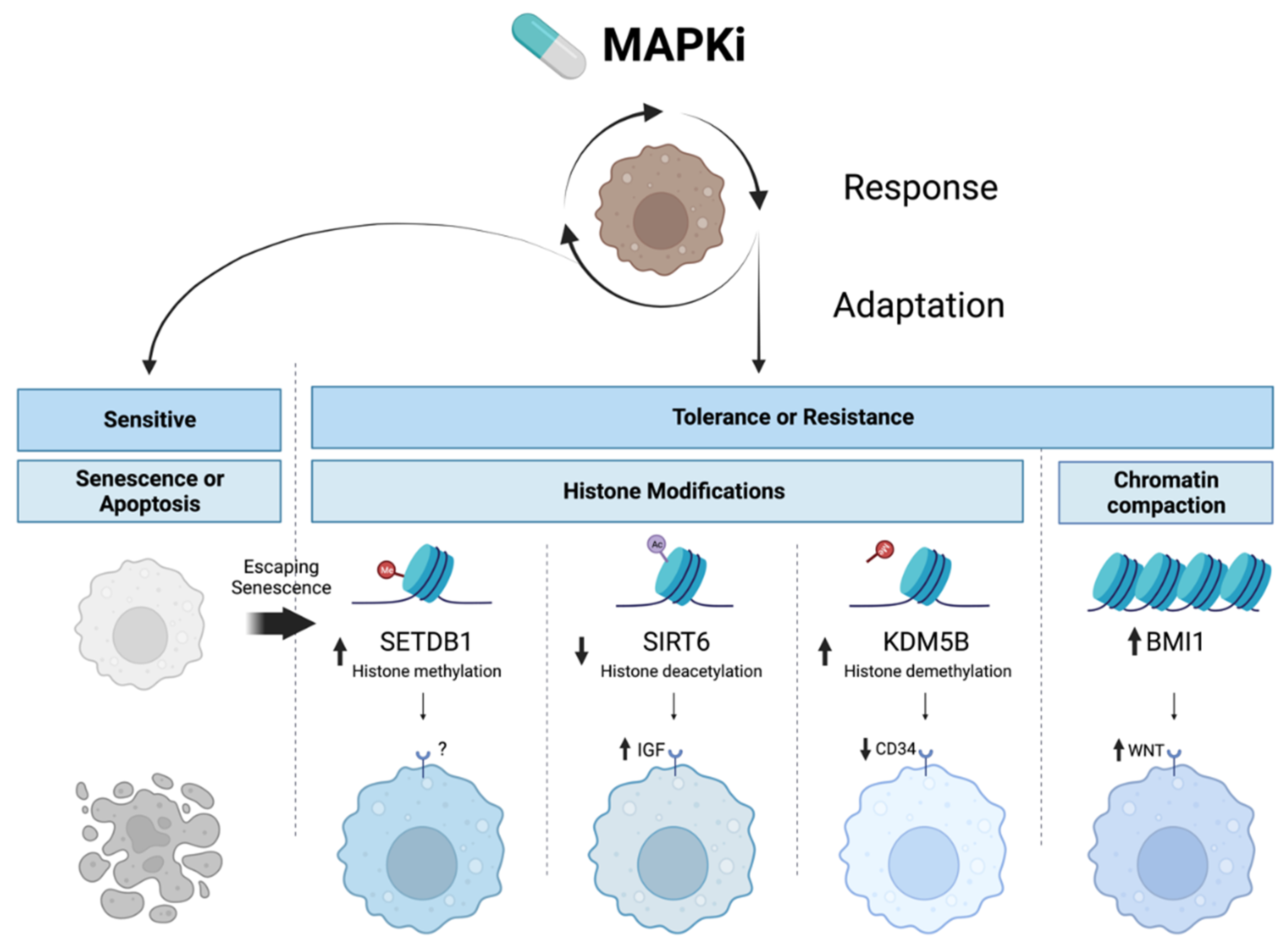 Cancers 14 05858 g002 Cancers 14 05858 g002