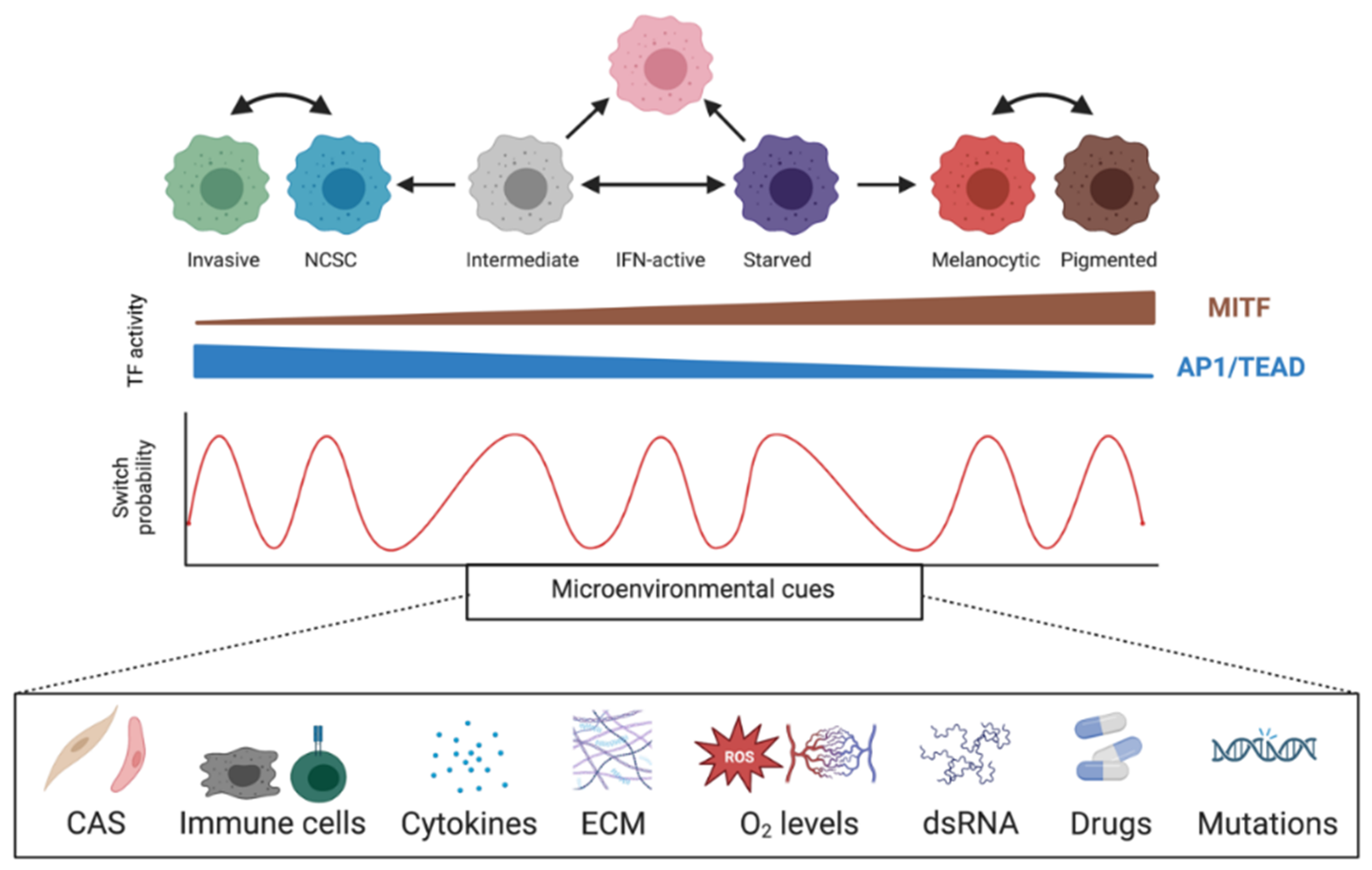 Cancers 14 05858 g003 Cancers 14 05858 g003