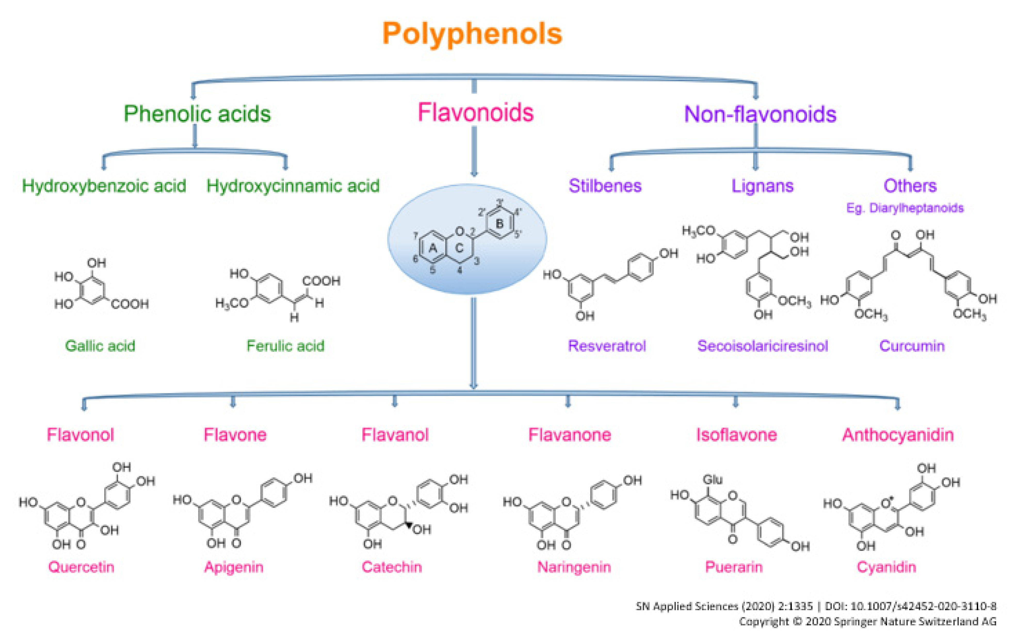 Cancers 14 05878 g001