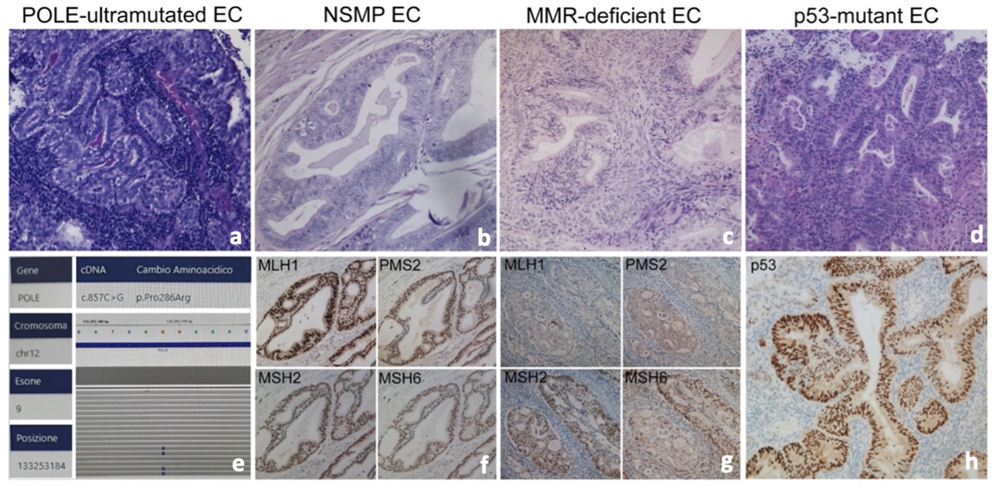 Cancers 14 05881 g002