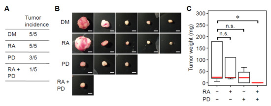 ERK MAP Kinase Signaling Regulates RAR Signaling to Confer