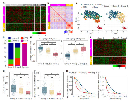ERK MAP Kinase Signaling Regulates RAR Signaling to Confer