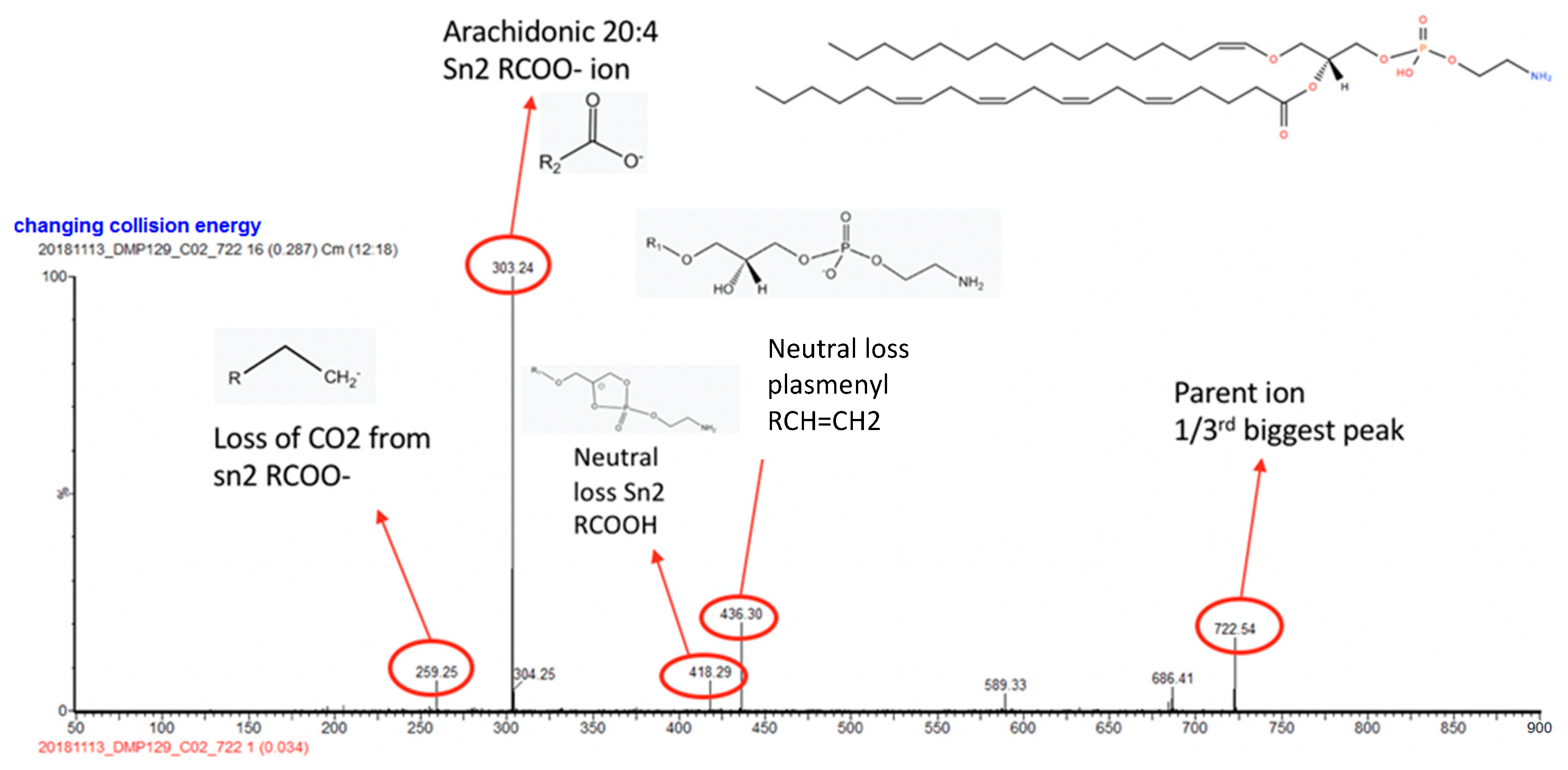 Cancers 14 05892 g006