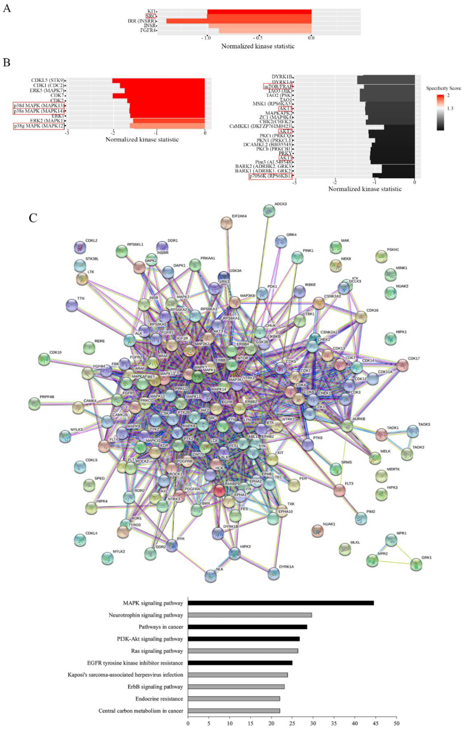 Cancers 14 05894 g004a Cancers 14 05894 g004a