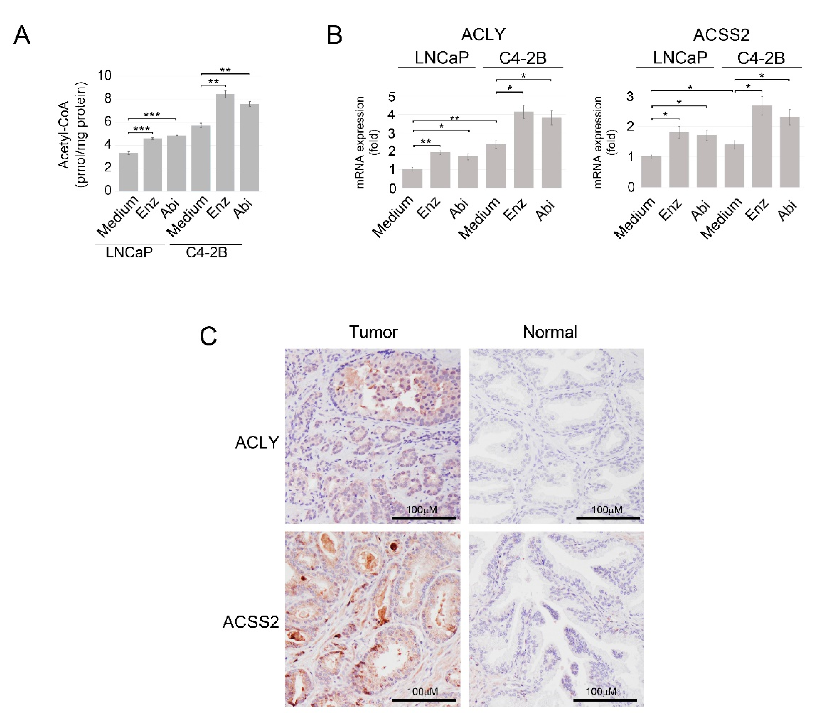 Cancers 14 05900 g001 Cancers 14 05900 g001