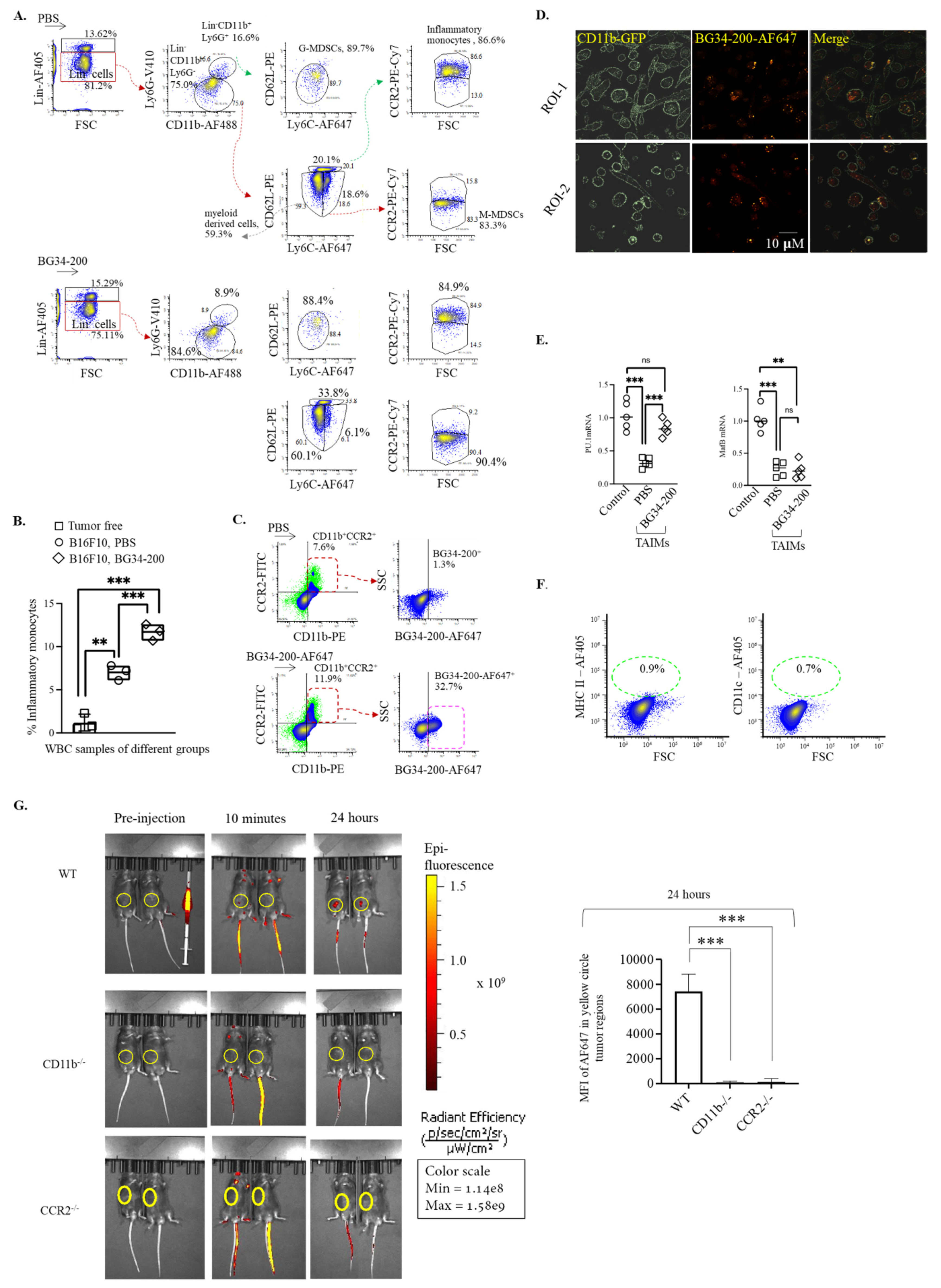 Cancers 14 05911 g003 Cancers 14 05911 g003