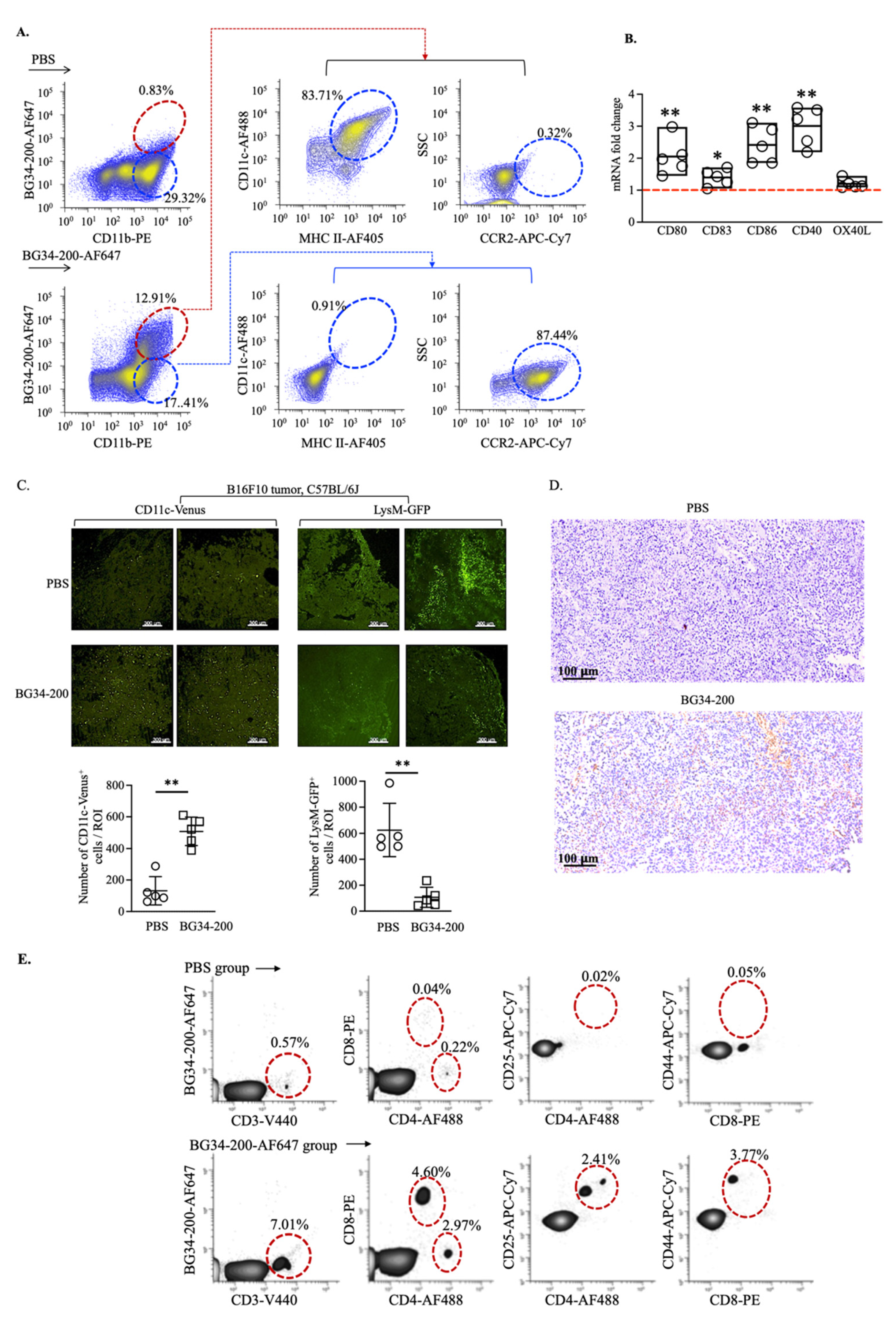Cancers 14 05911 g004 Cancers 14 05911 g004