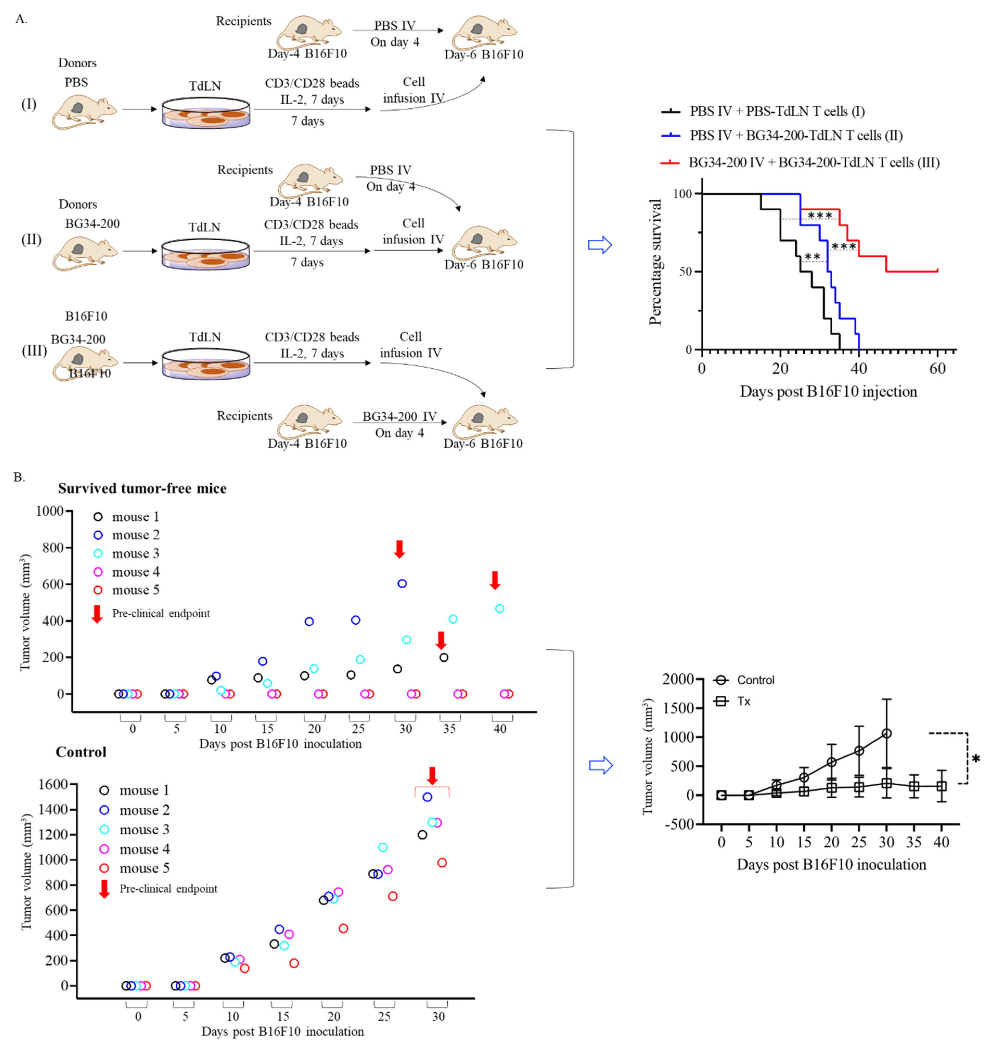 Cancers 14 05911 g006 Cancers 14 05911 g006