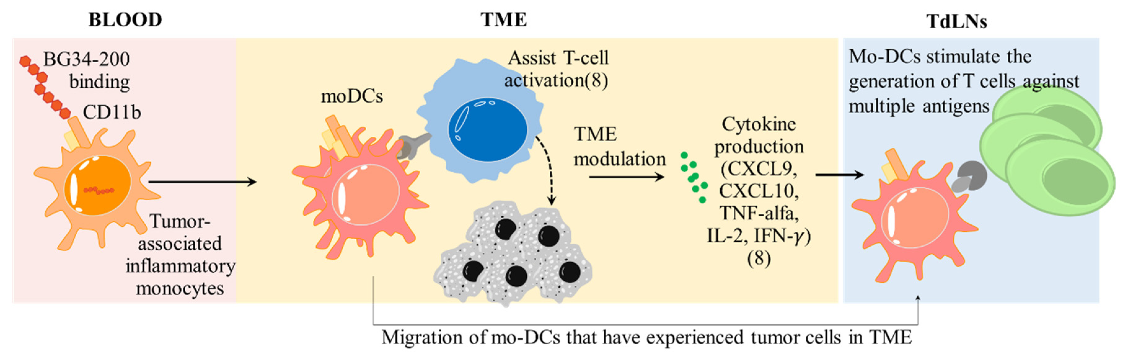 Cancers 14 05911 g007 Cancers 14 05911 g007