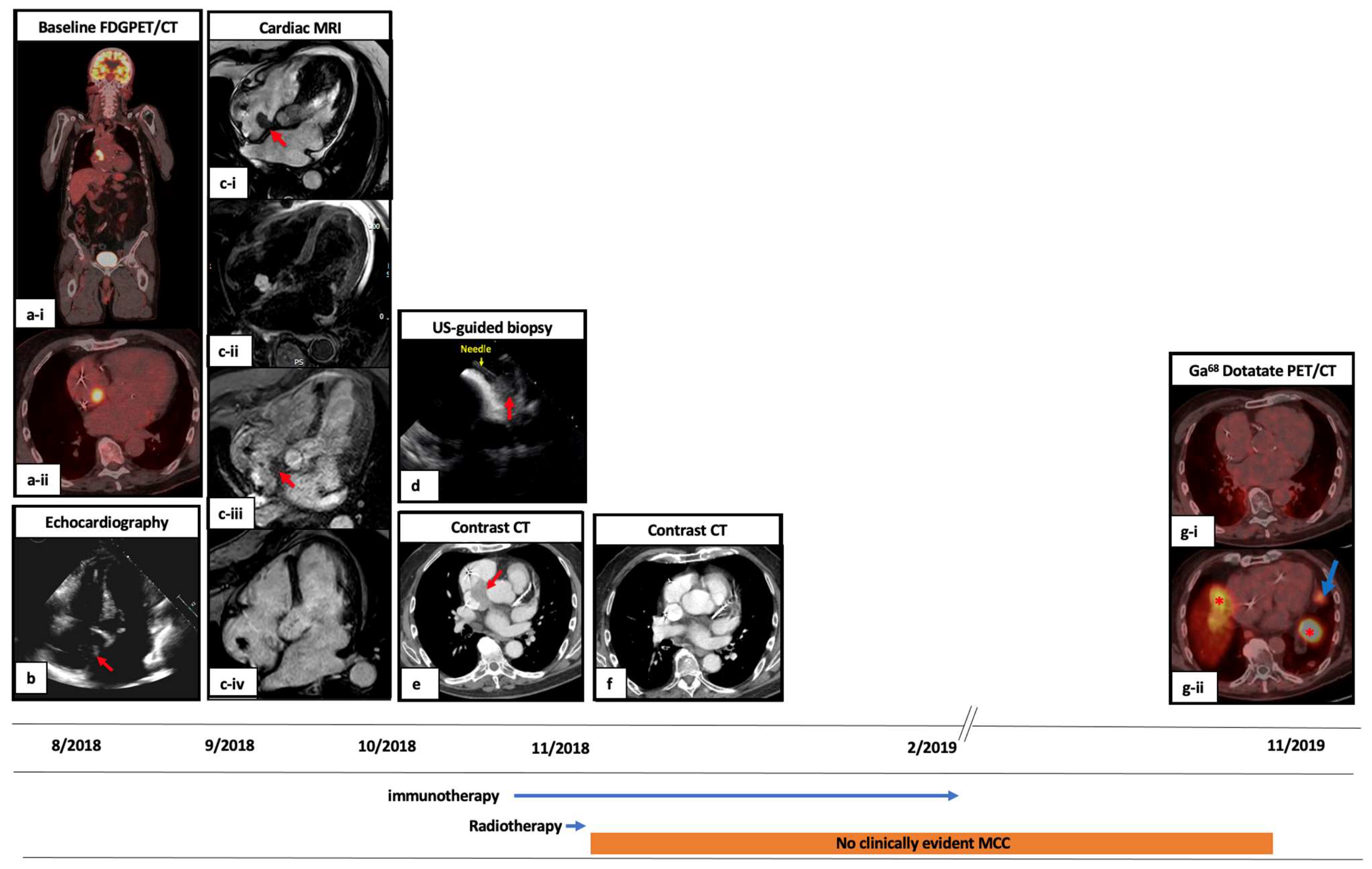 Cancers 14 05914 g001