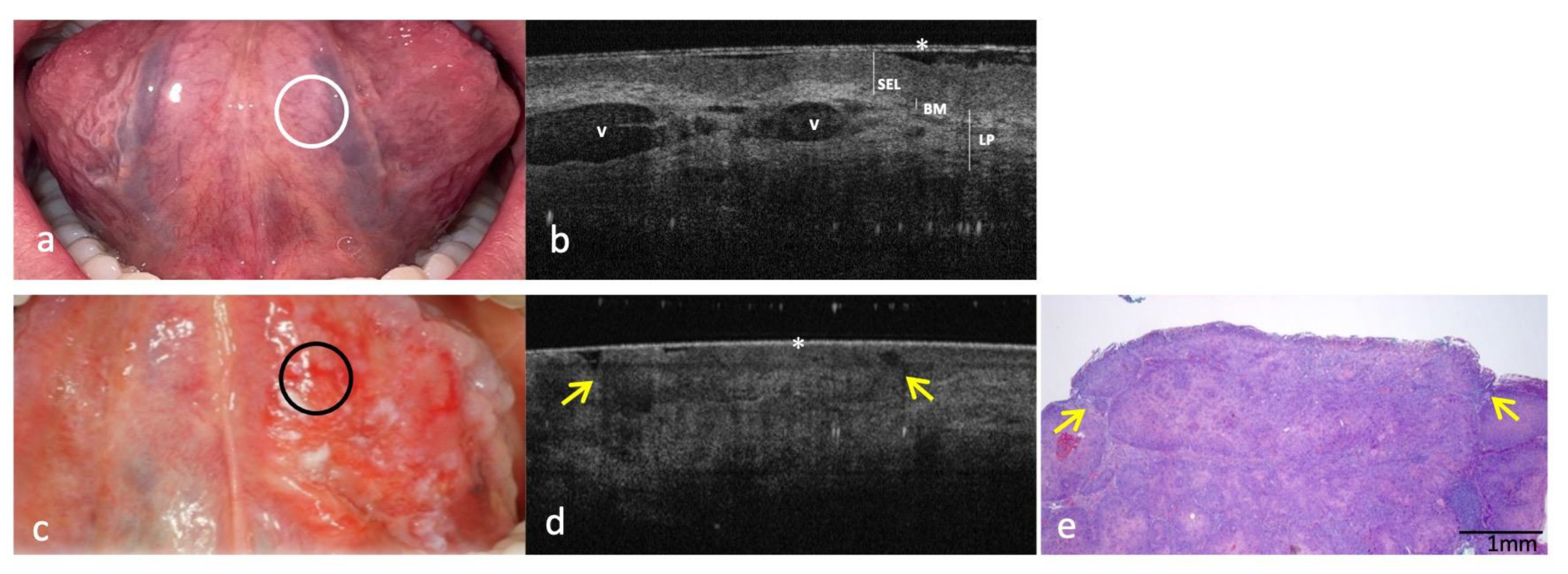 Cancers 14 05916 g003