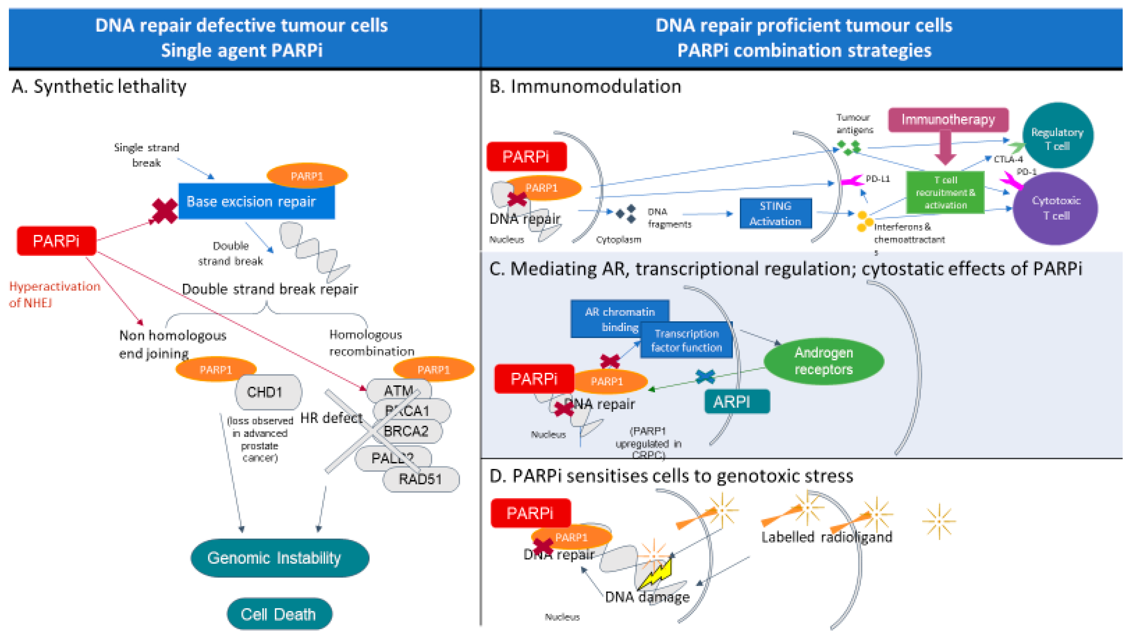 Cancers 14 05922 g001