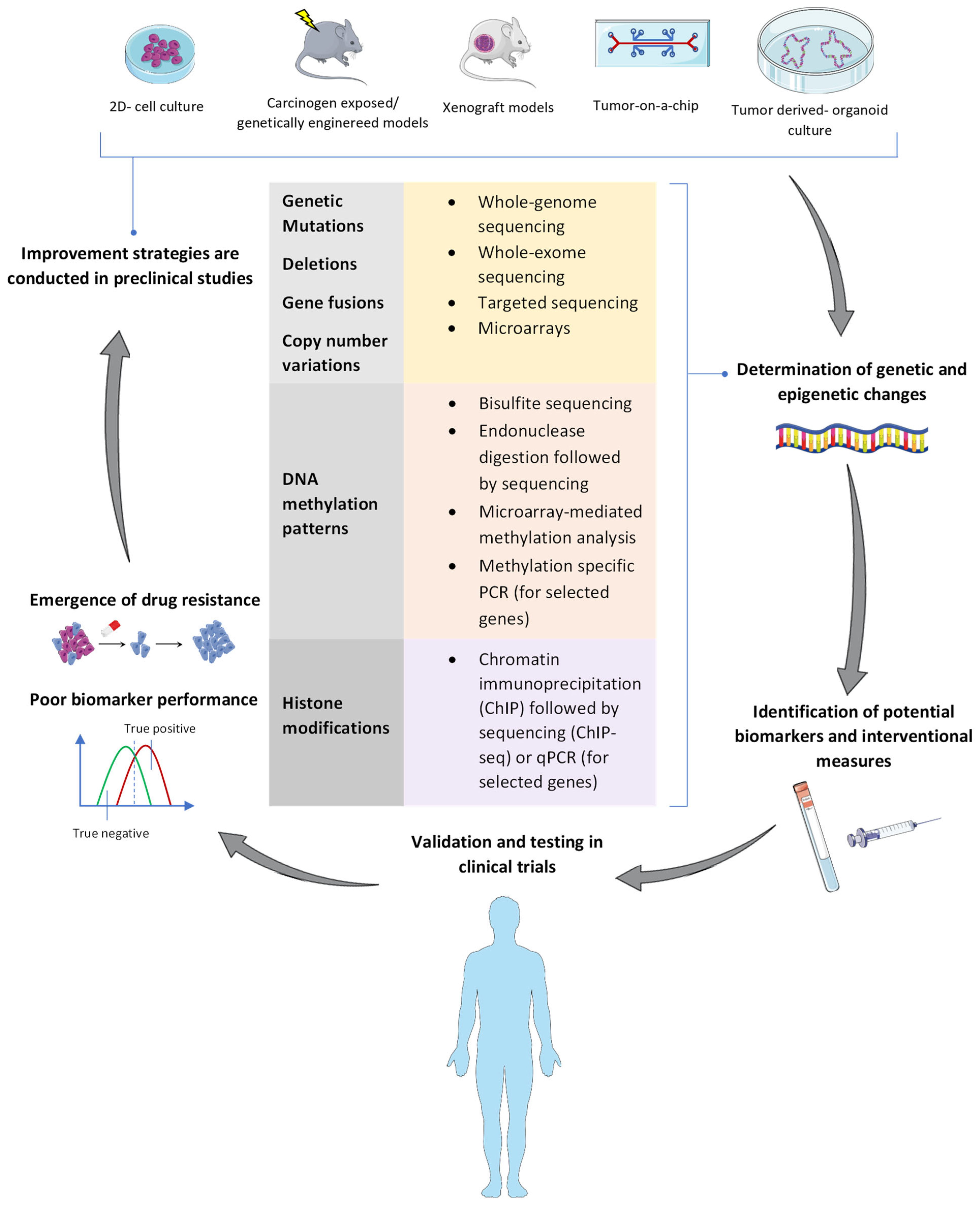 Cancers 14 05926 g001