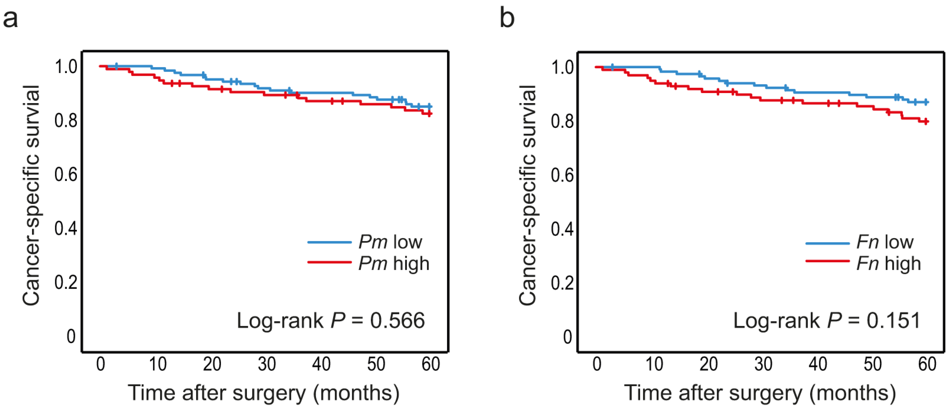 Cancers 14 05937 g004 Cancers 14 05937 g004
