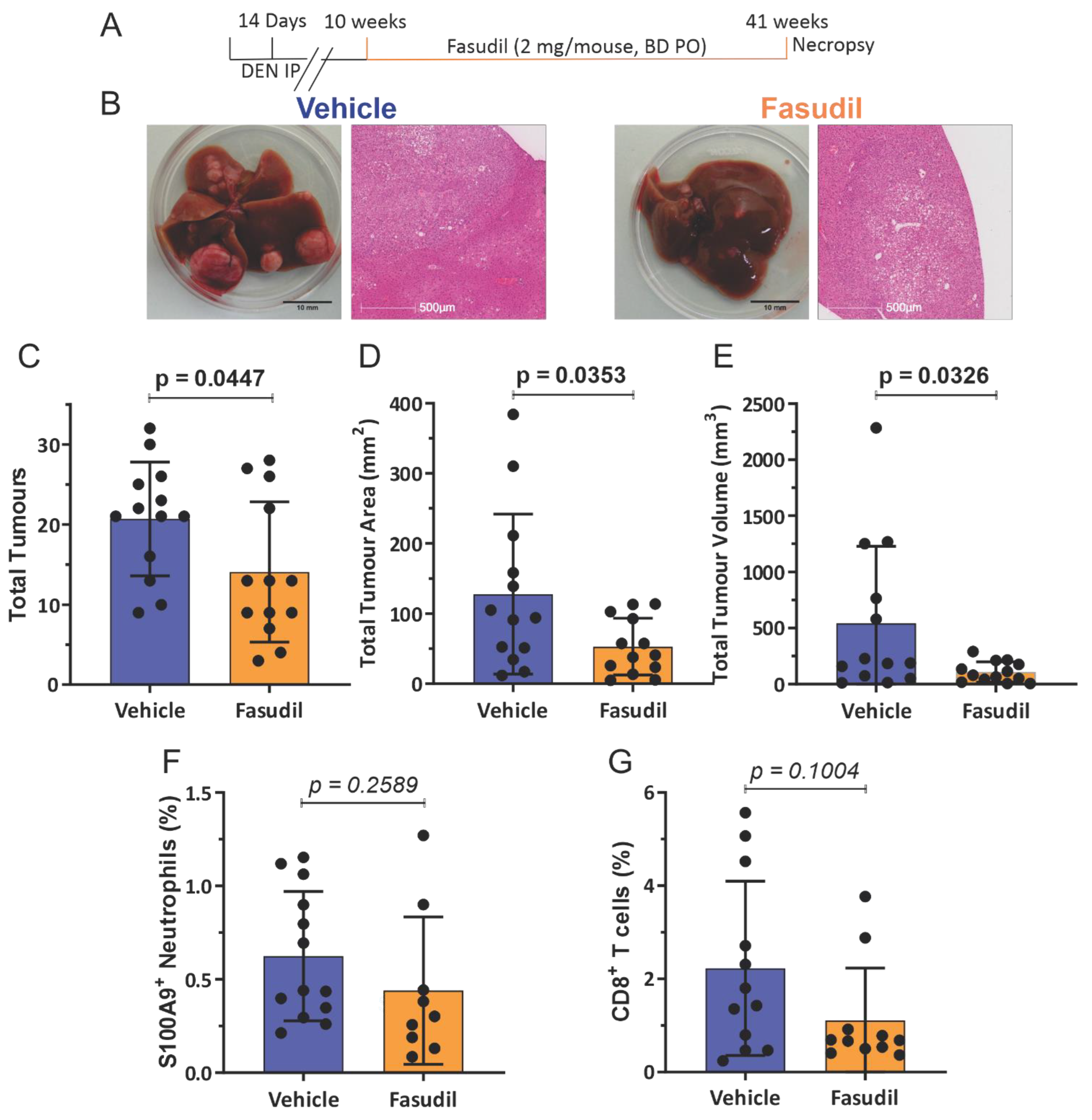 Cancers 14 05943 g005 Cancers 14 05943 g005