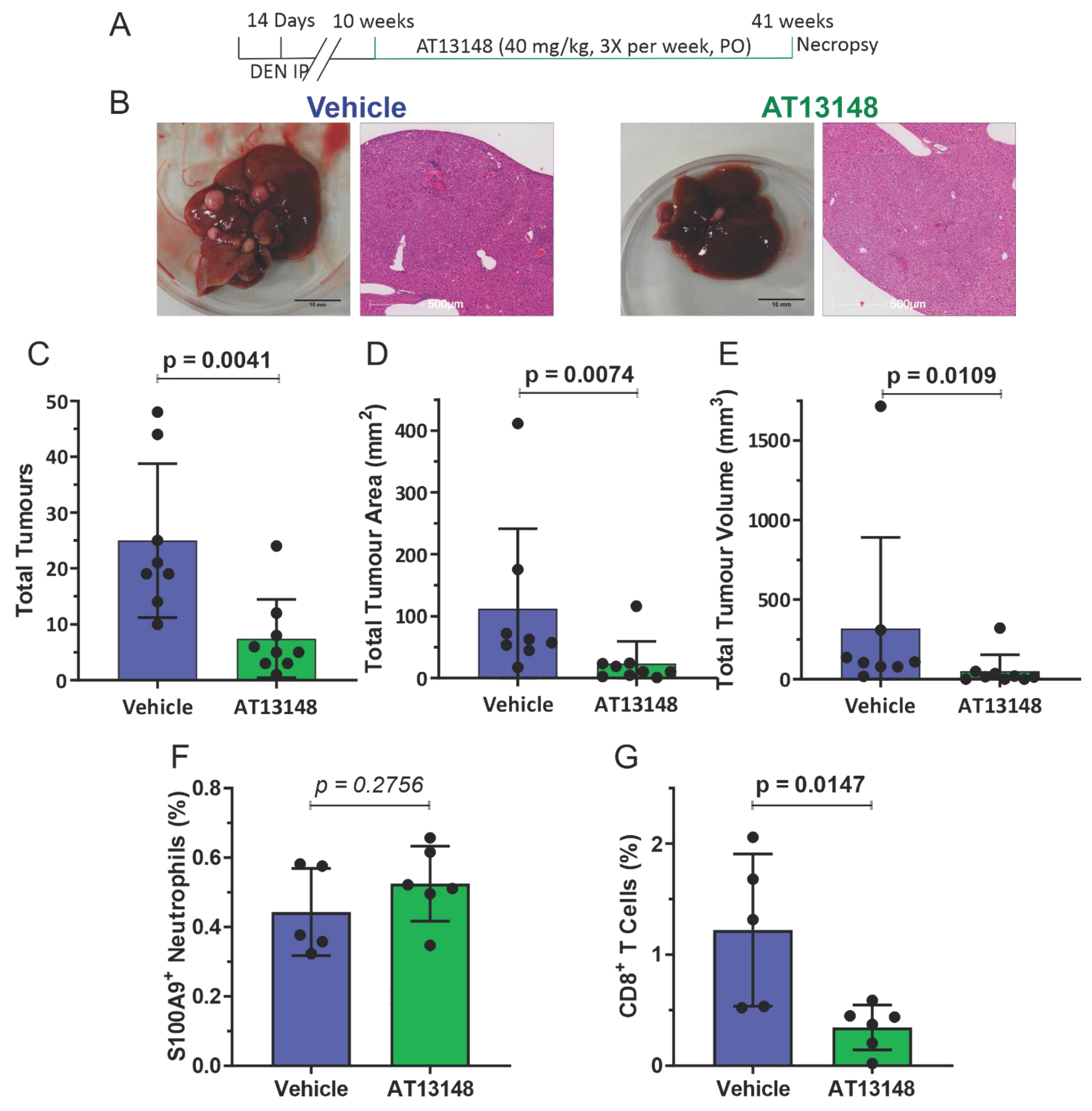 Cancers 14 05943 g006 Cancers 14 05943 g006