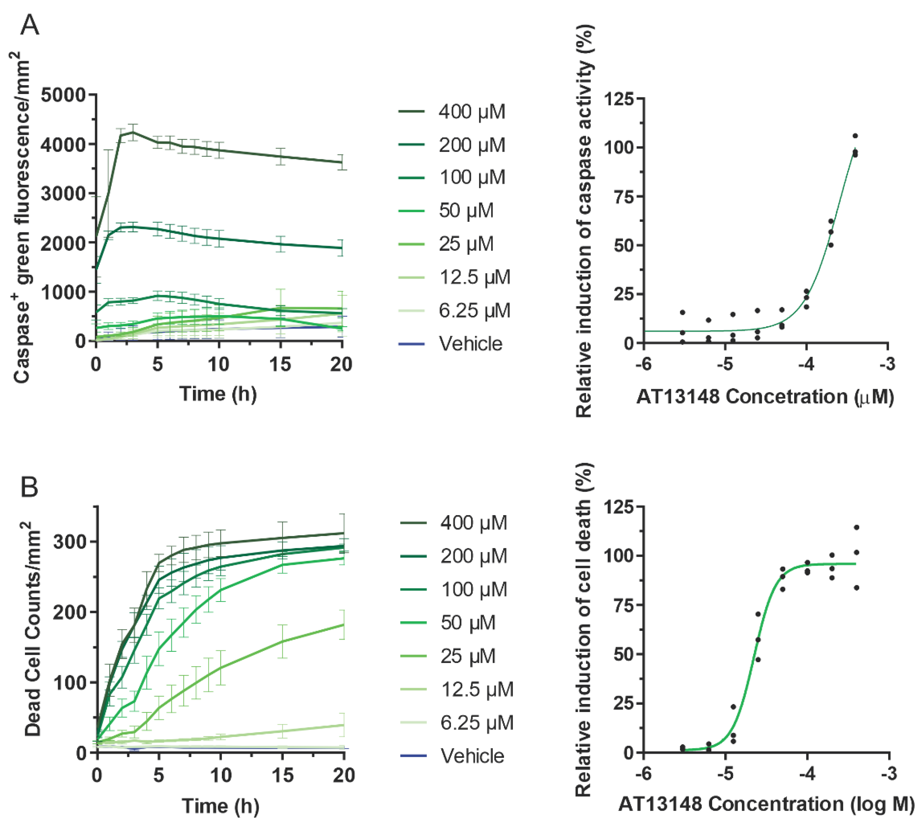 Cancers 14 05943 g008 Cancers 14 05943 g008