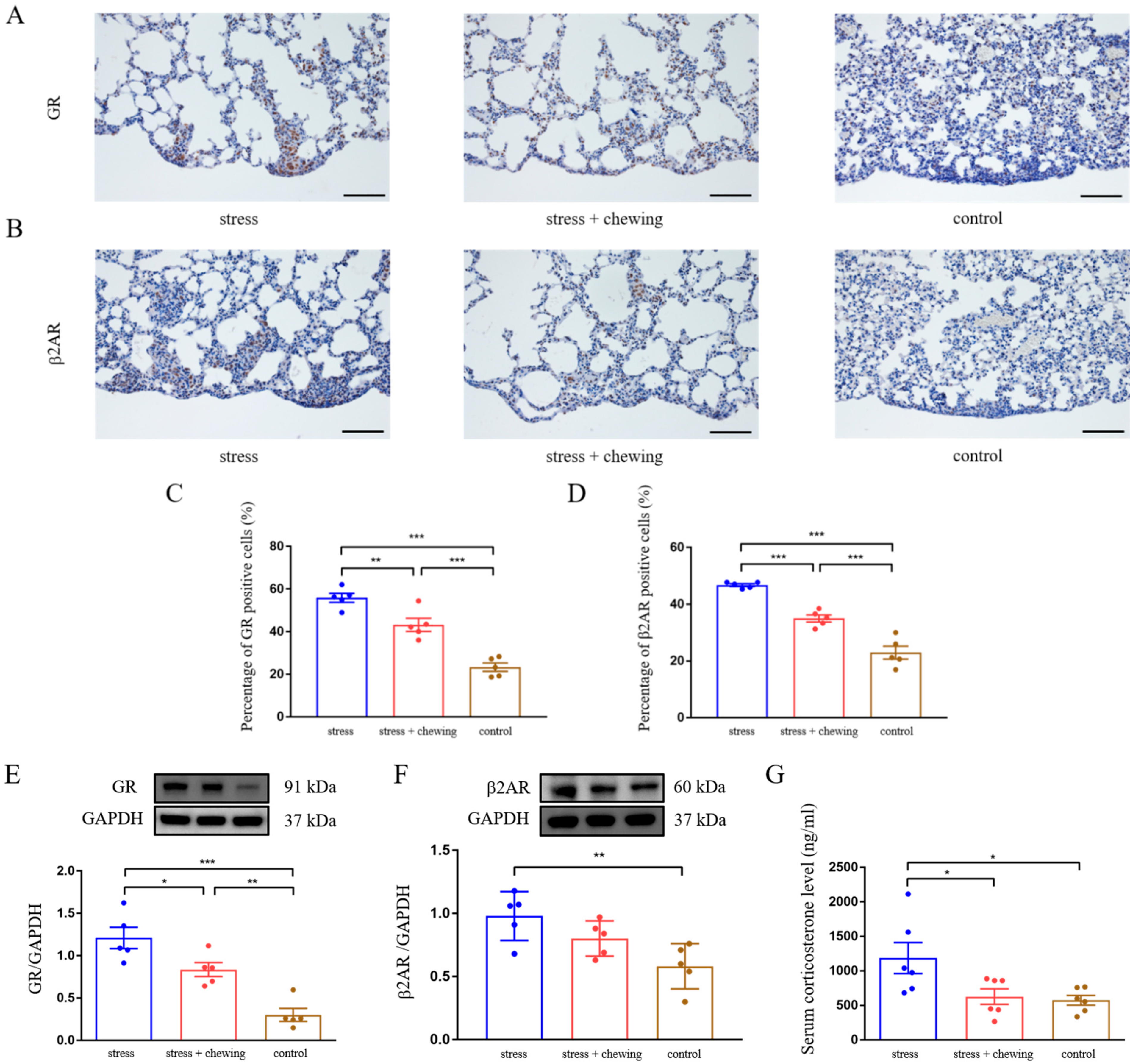 Cancers 14 05950 g002 Cancers 14 05950 g002