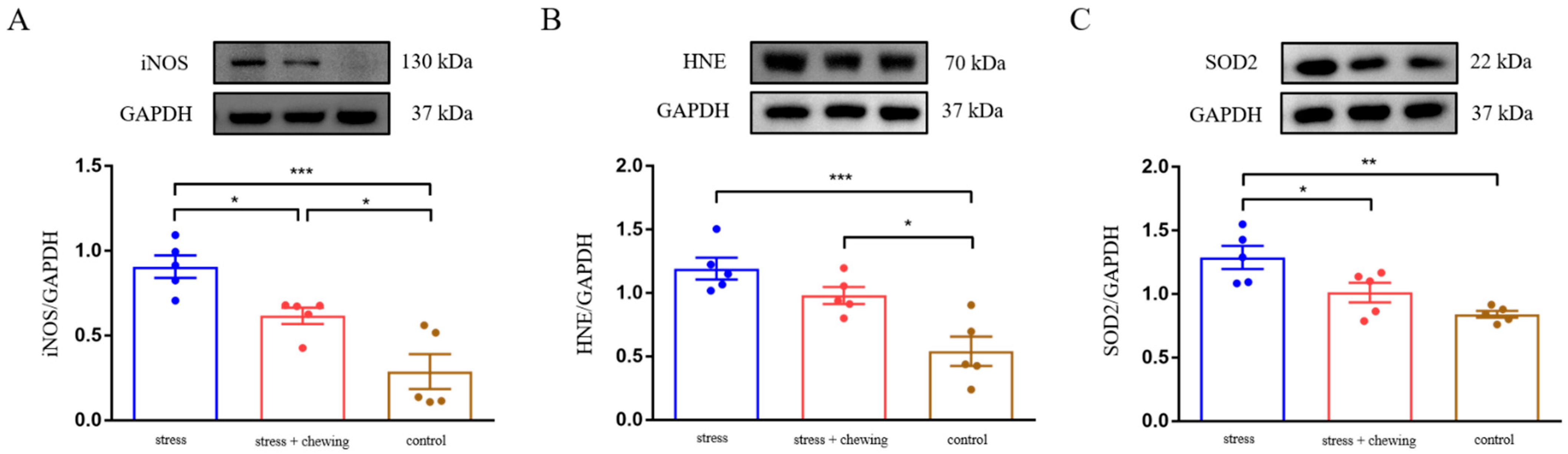 Cancers 14 05950 g004 Cancers 14 05950 g004