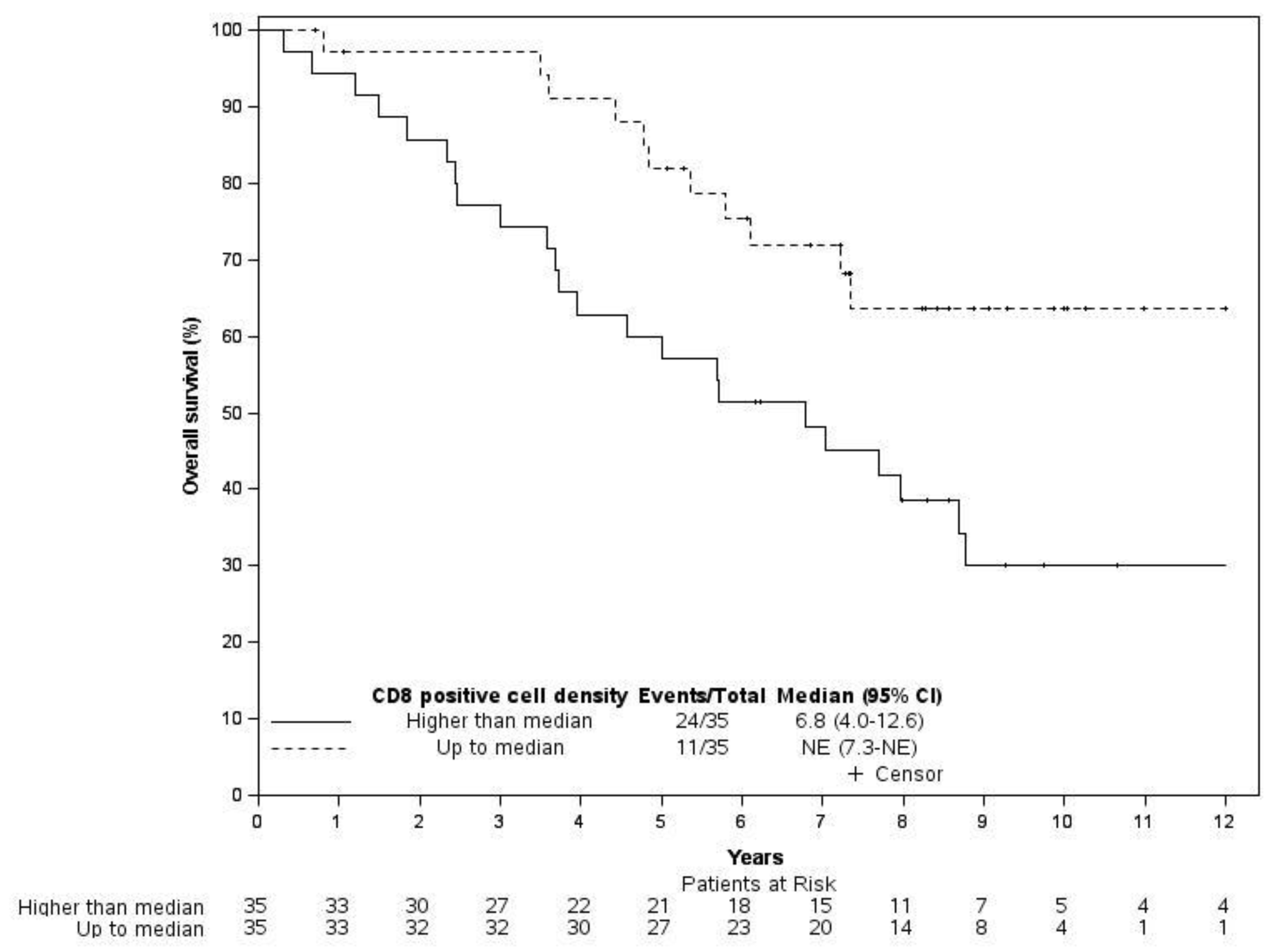 Cancers 14 05959 g003 Cancers 14 05959 g003